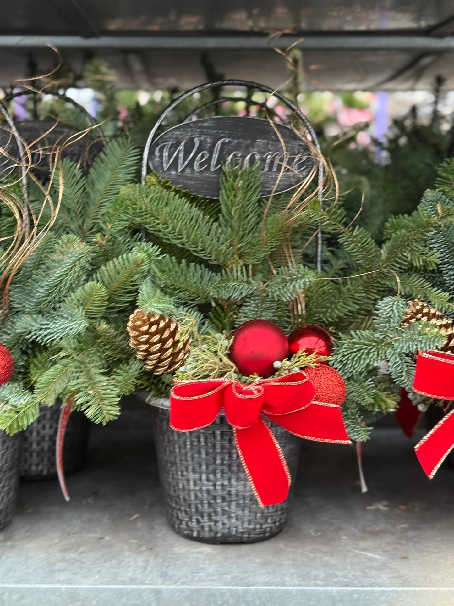 Planter, 8" Welcome Planter (Each)