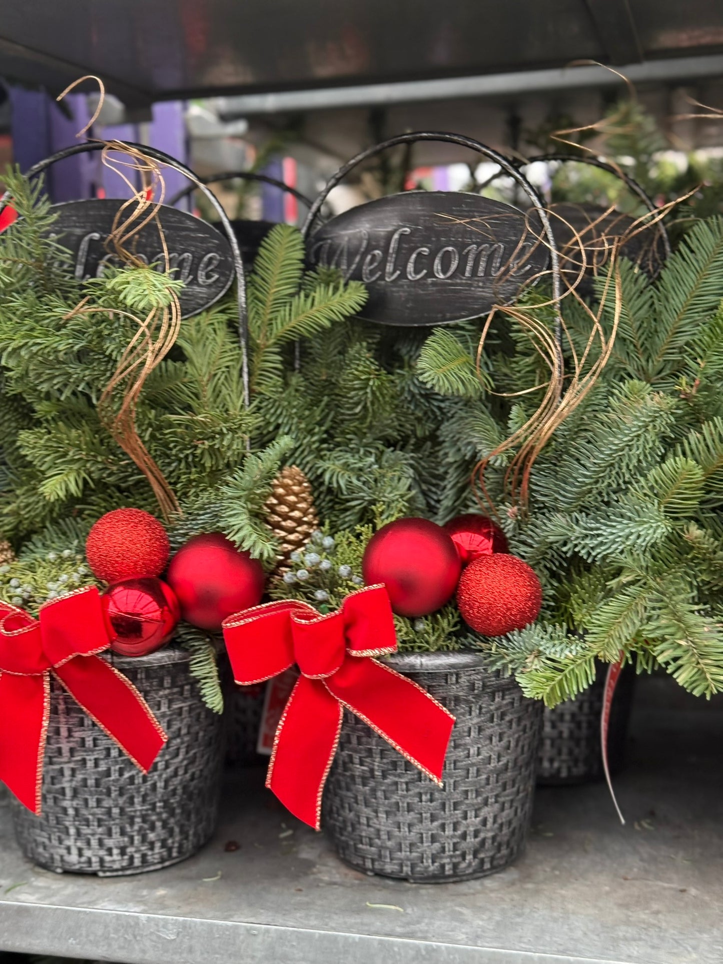 Planter, 8" Welcome Planter (Each)