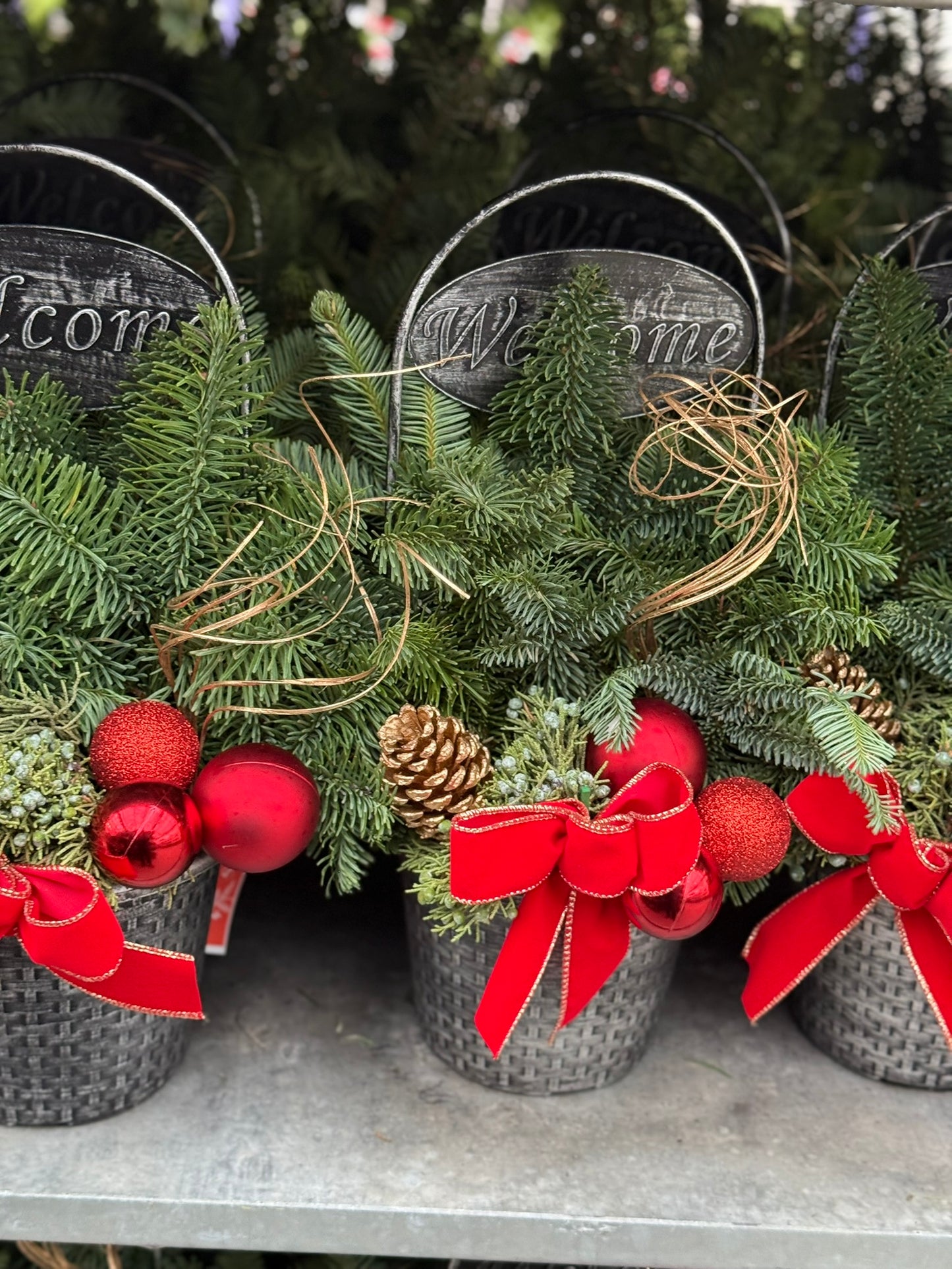 Planter, 8" Welcome Planter (Each)