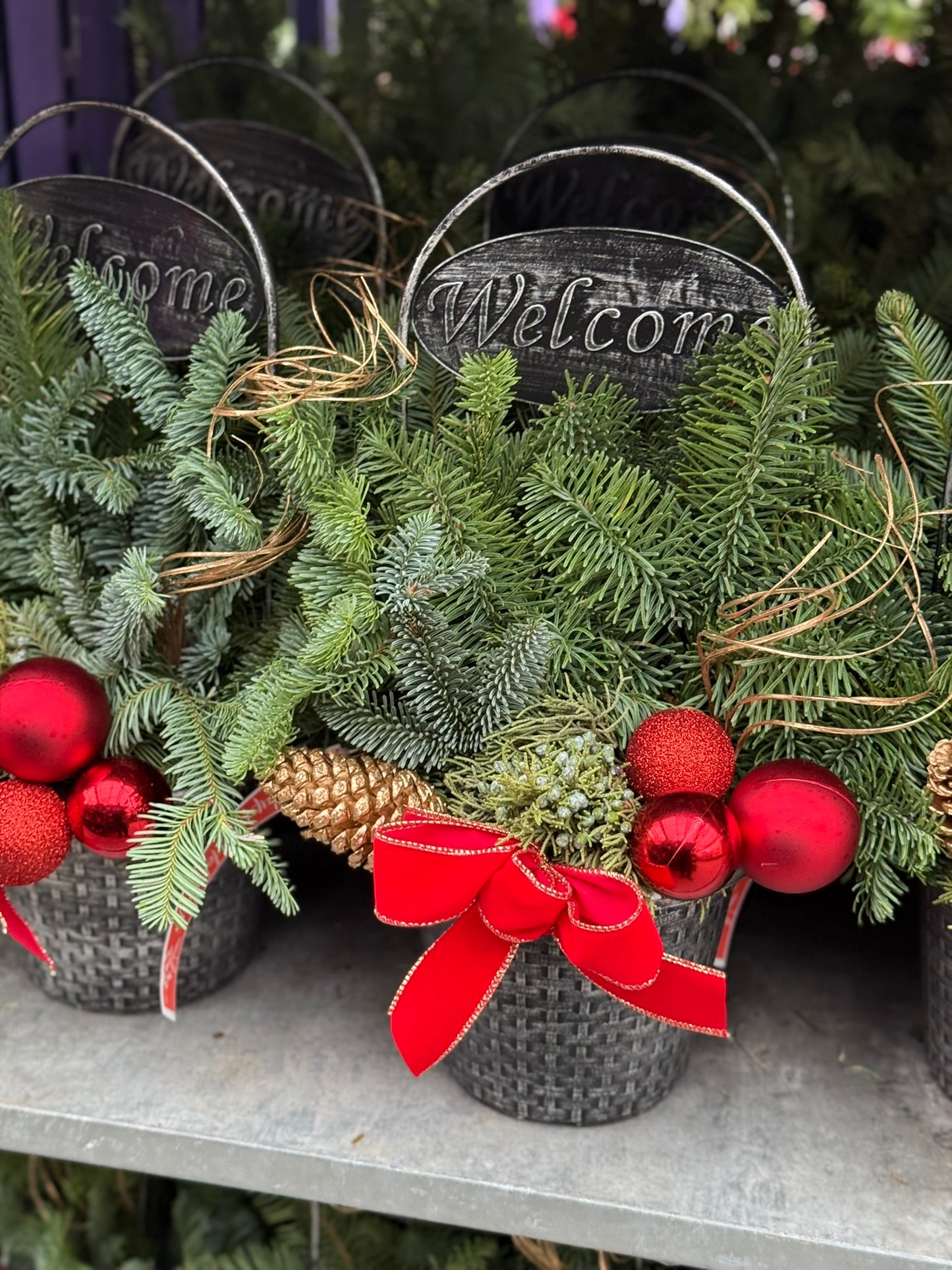 Planter, 8" Welcome Planter (Each)