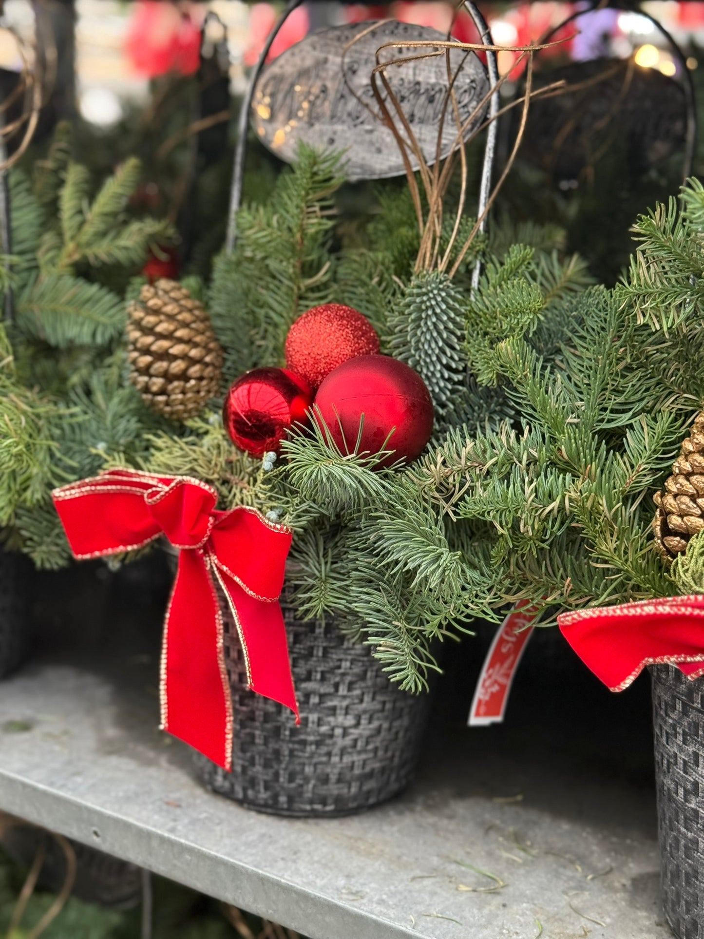 Planter, 8" Welcome Planter (Each)