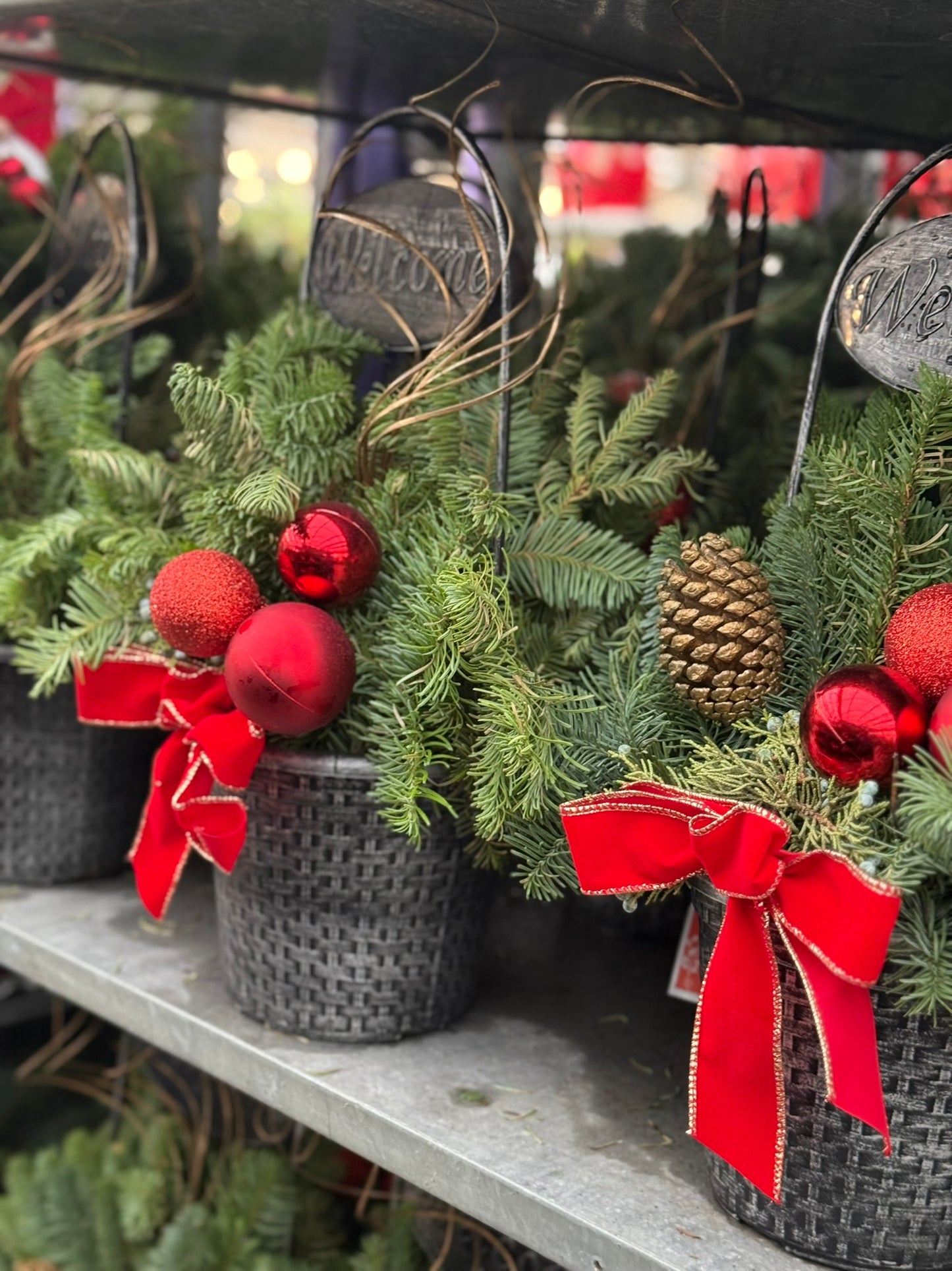 Planter, 8" Welcome Planter (Each)