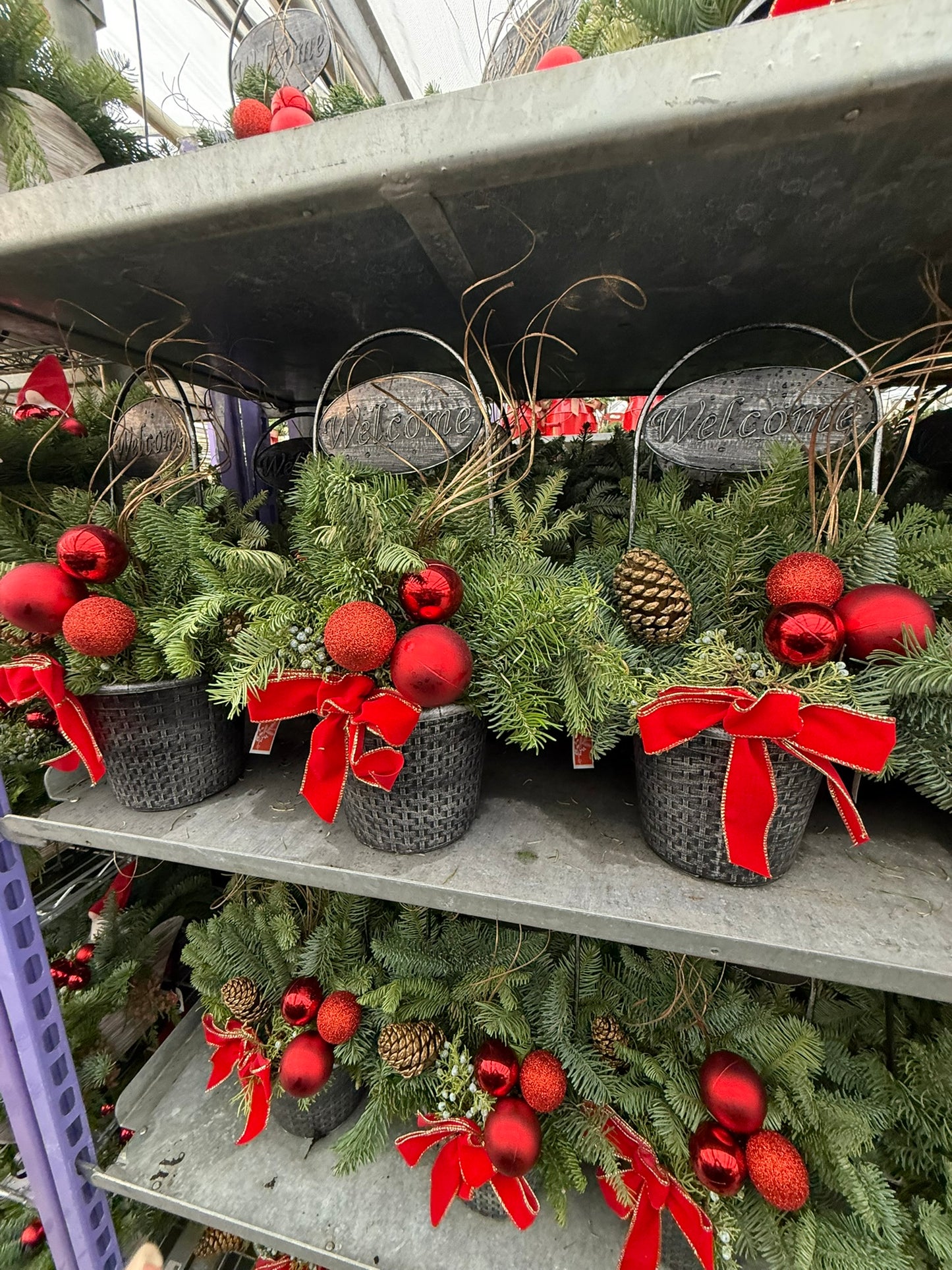 Planter, 8" Welcome Planter (Each)