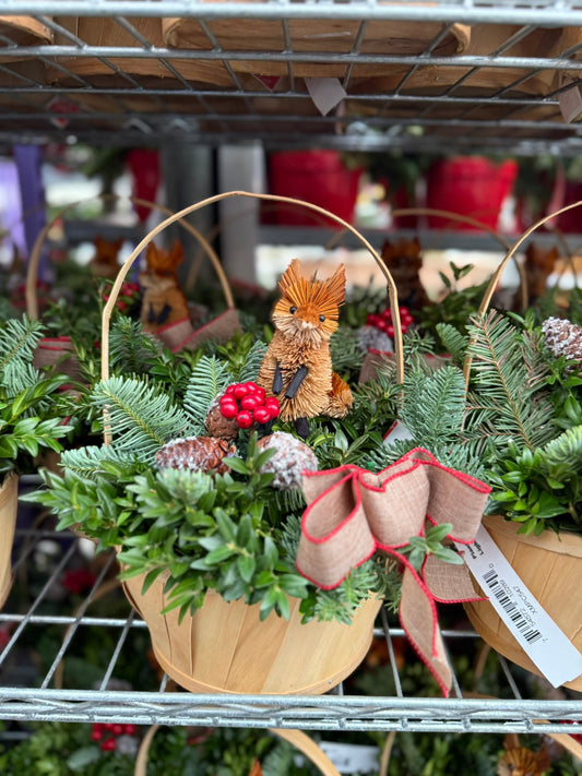 Planter, 7" Woodland Fox, Light Basket with Handle Basket (Each)
