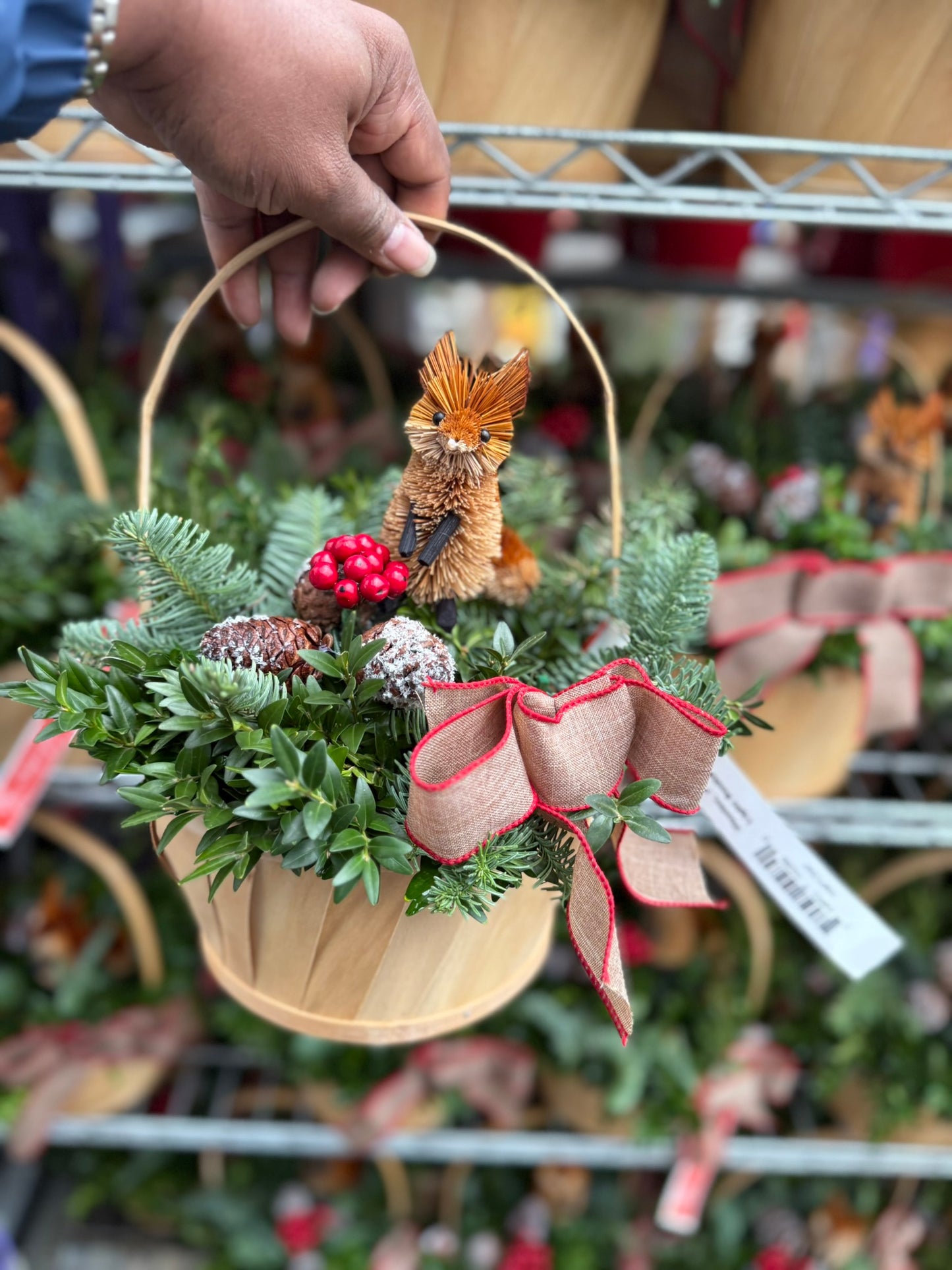 Planter, 7" Woodland Fox, Light Basket with Handle Basket (Each)