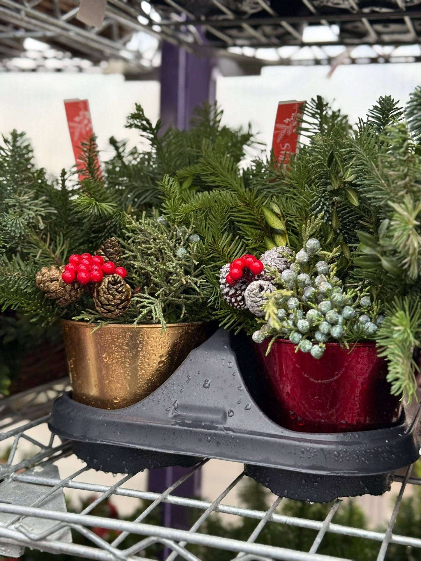 Planter, 4" Mini Pot 4" Pot (Pack of 6)