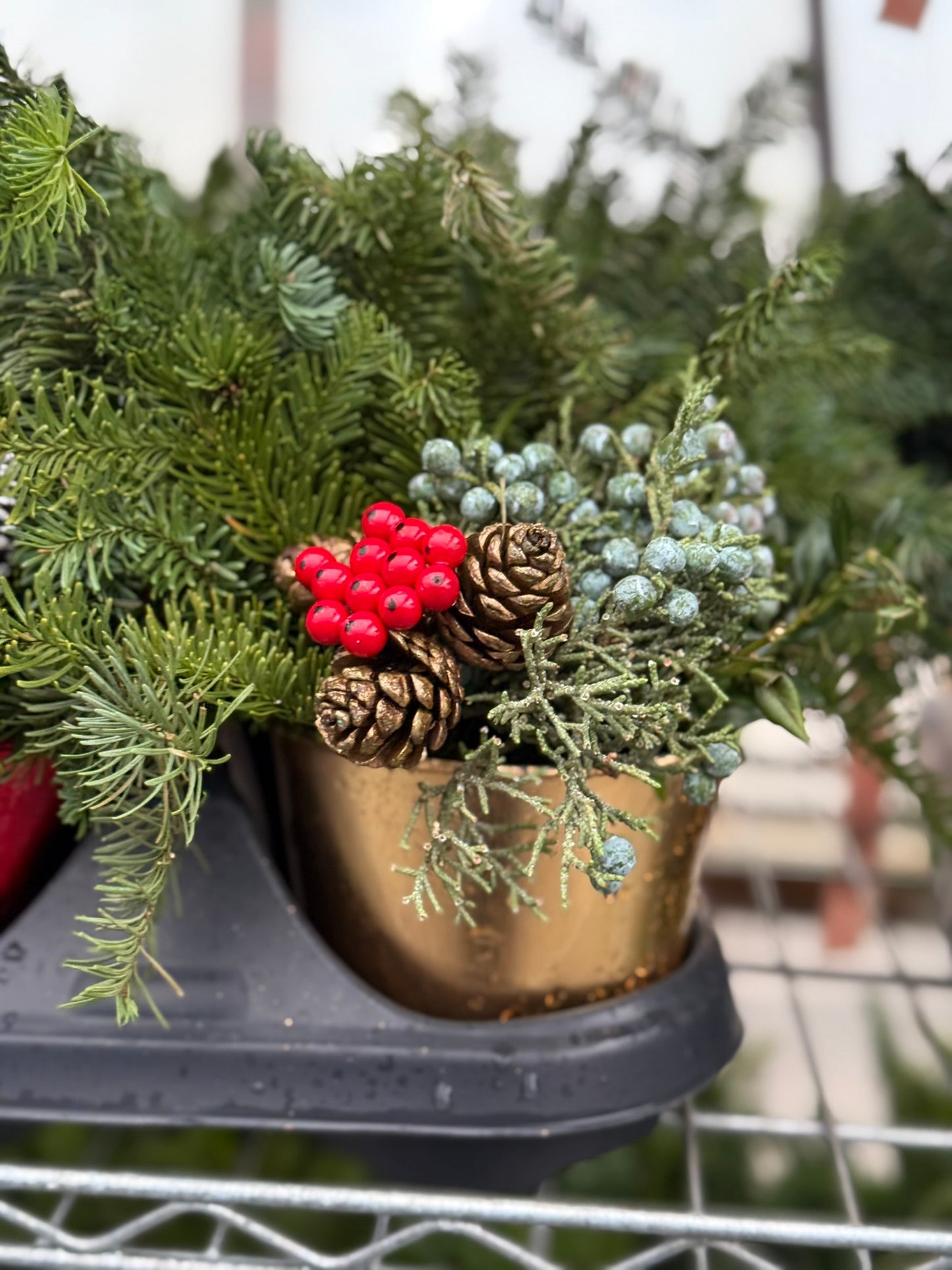 Planter, 4" Mini Pot 4" Pot (Pack of 6)