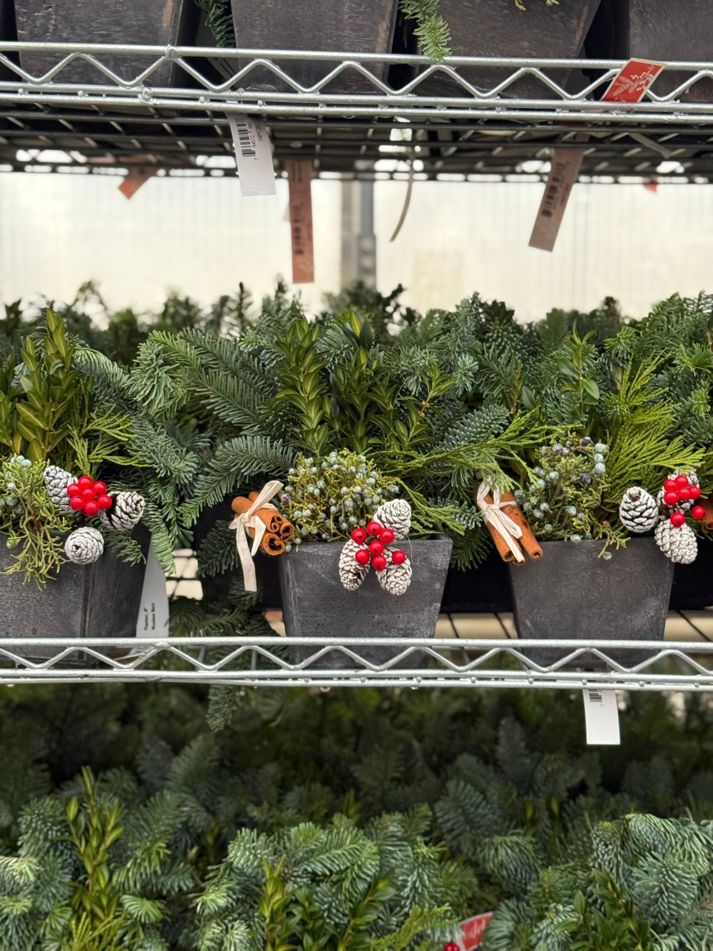 Planter, 4" Wooden Box Planter (Each)