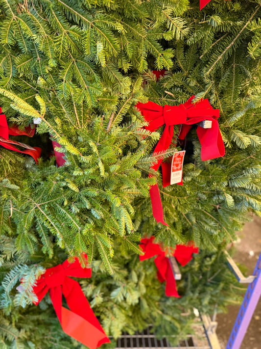 Wreath, Decorated Balsam Fir, Wreath with Bow, 12" Ring, 22" OD Pack of 1