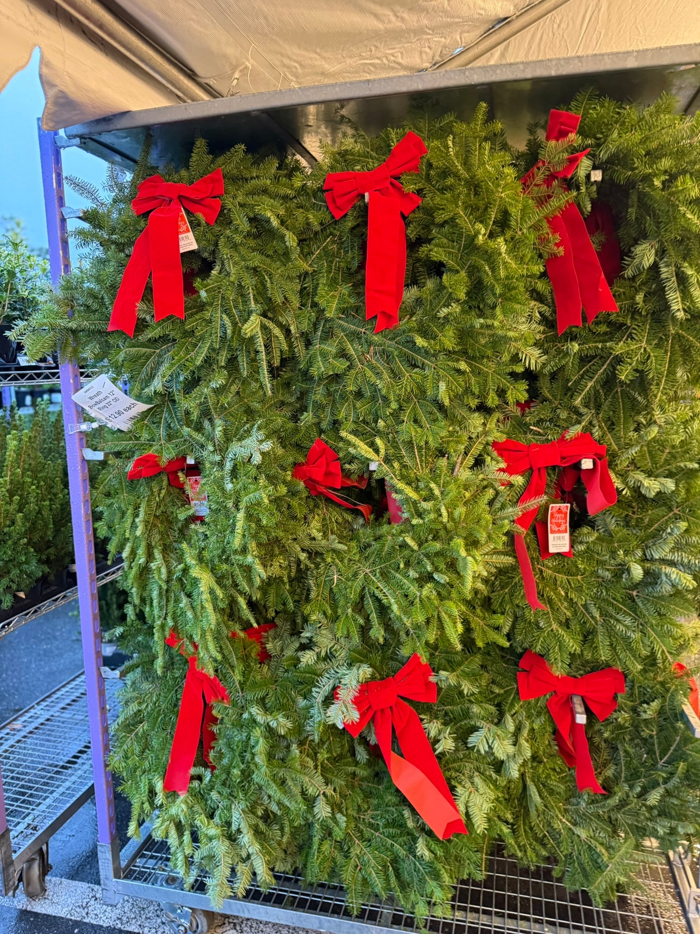 Wreath, Decorated Balsam Fir, Wreath with Bow, 12" Ring, 22" OD Pack of 1