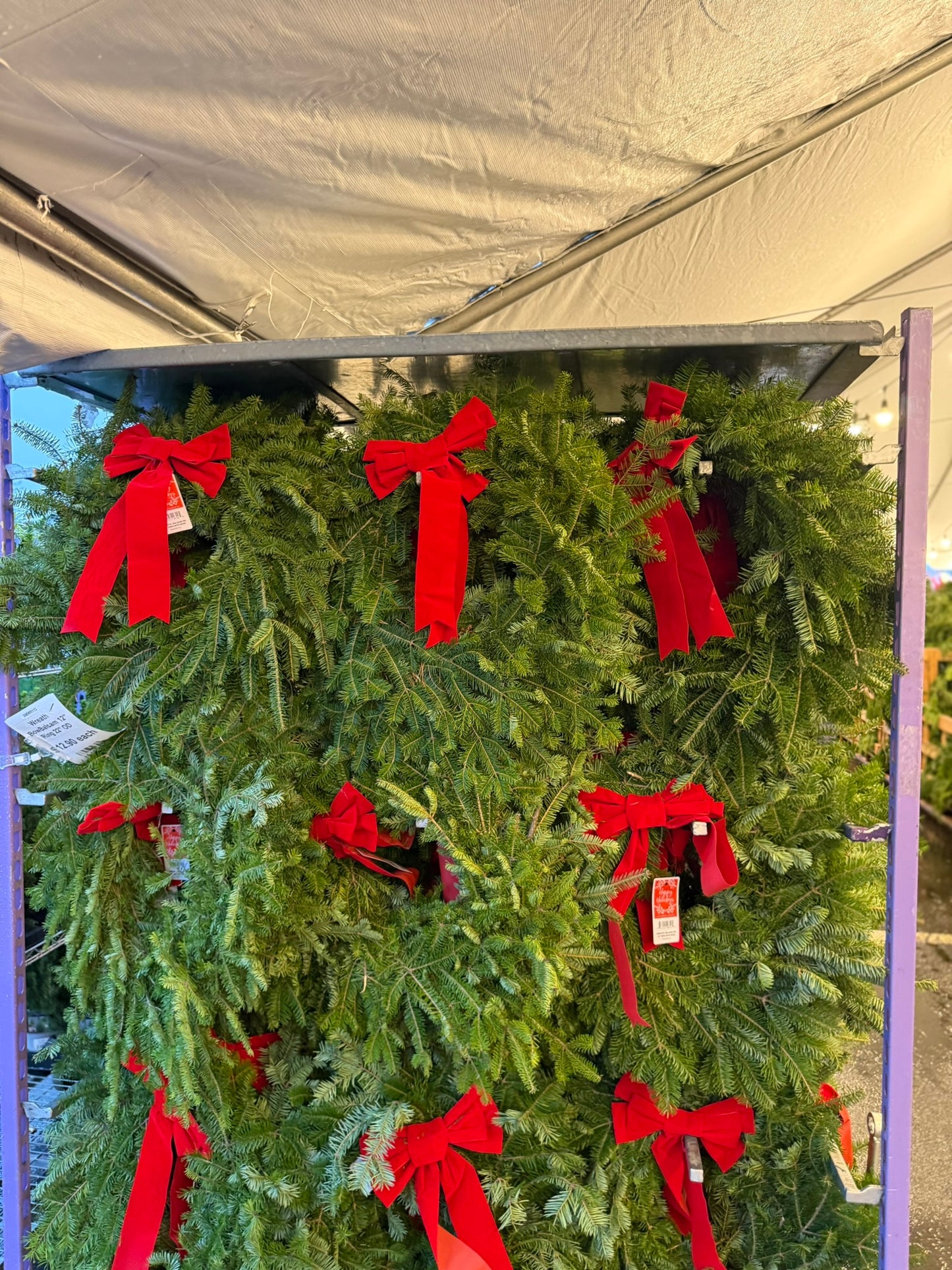 Wreath, Decorated Balsam Fir, Wreath with Bow, 12" Ring, 22" OD Pack of 1