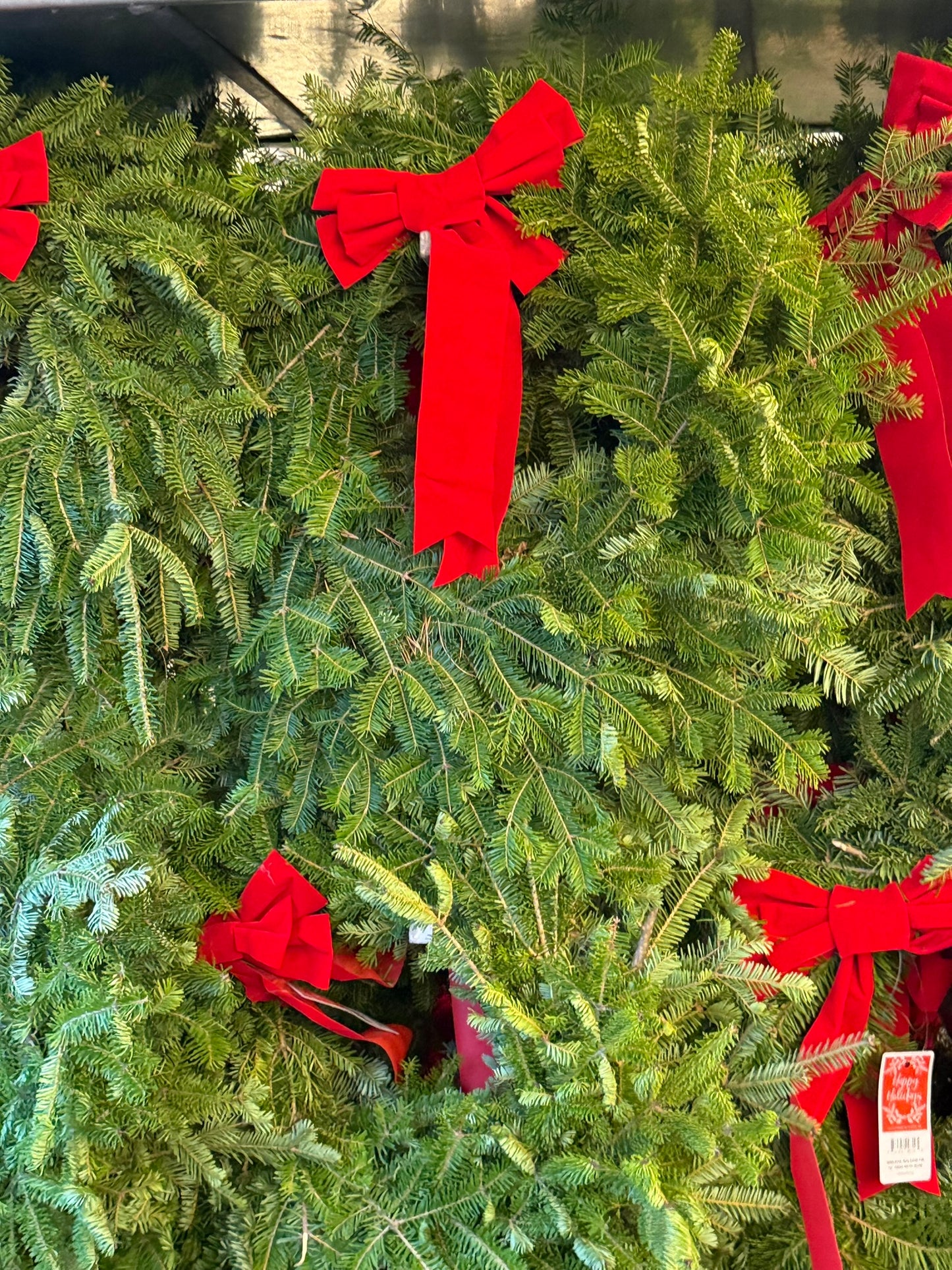 Wreath, Decorated Balsam Fir, Wreath with Bow, 12" Ring, 22" OD Pack of 1