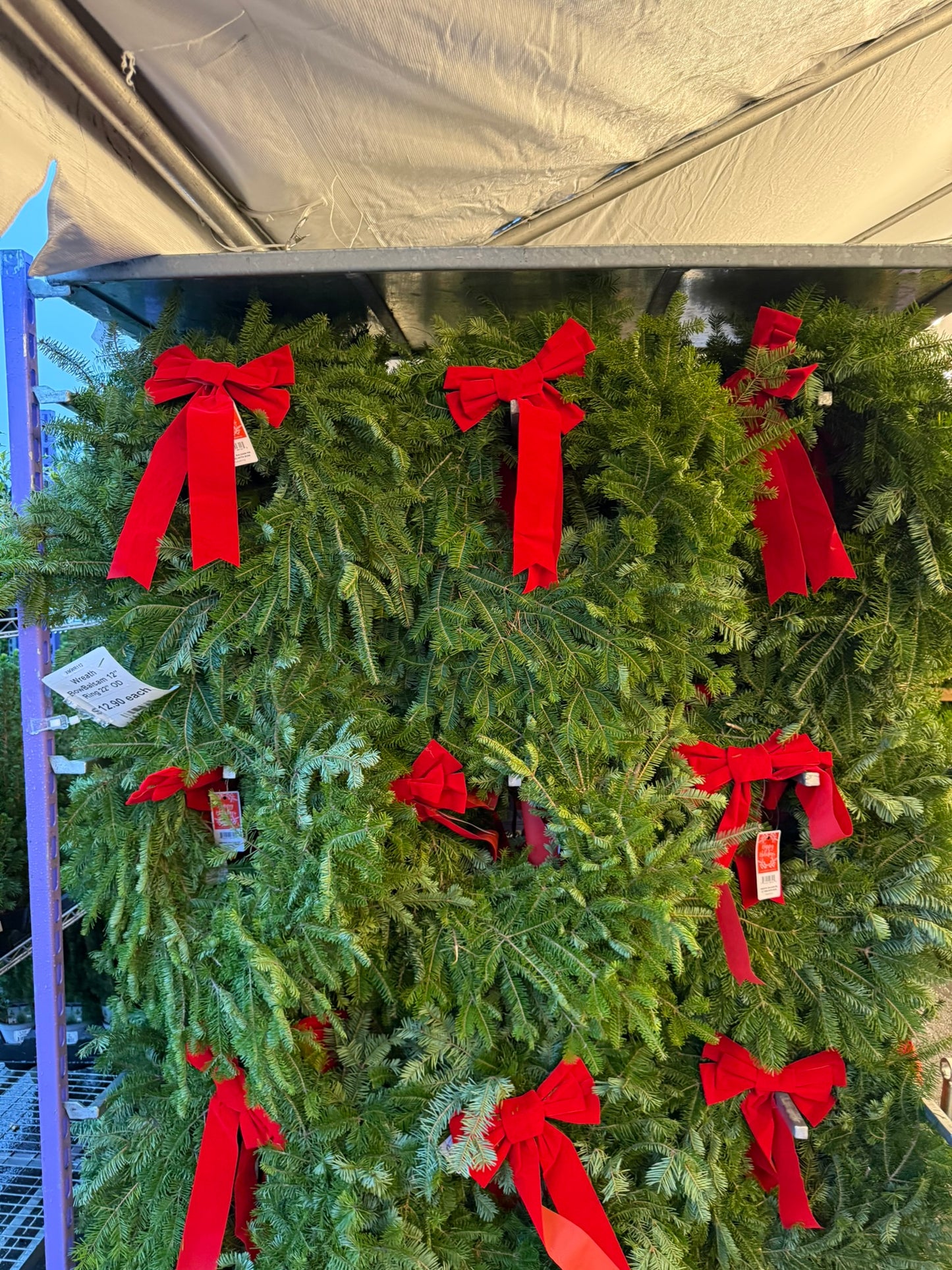 Wreath, Decorated Balsam Fir, Wreath with Bow, 12" Ring, 22" OD Pack of 1