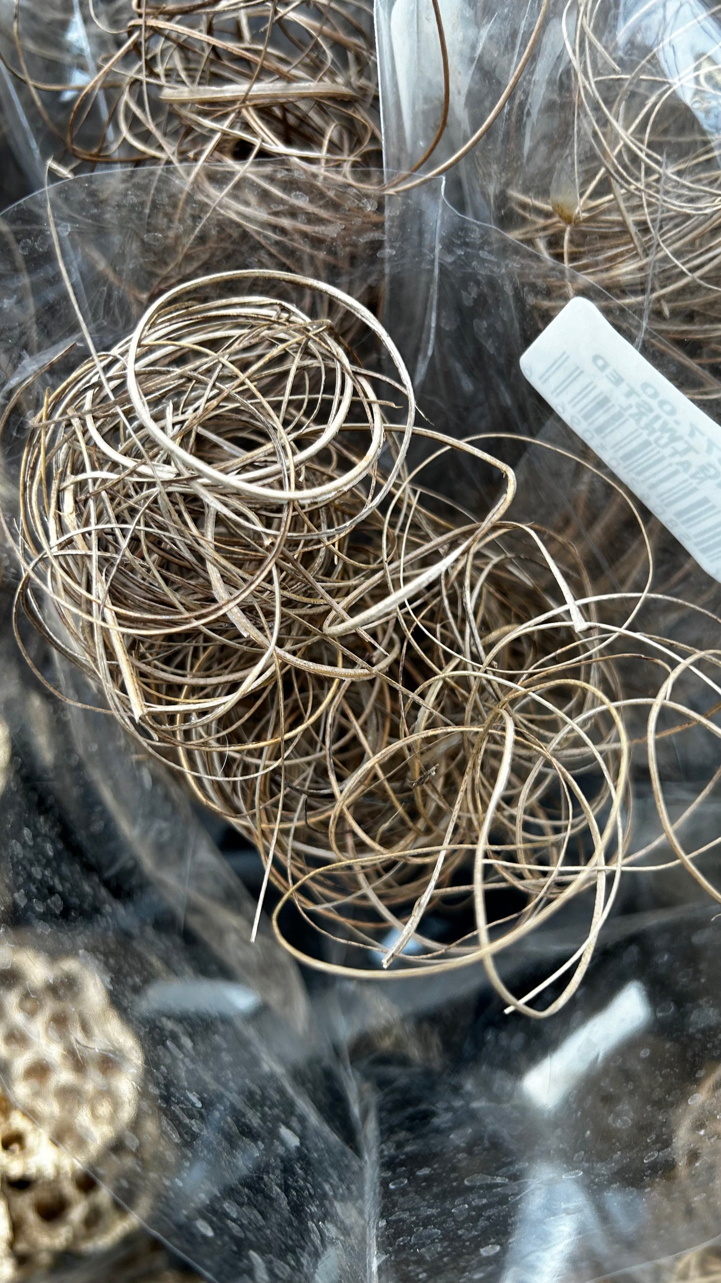 Accents, Curly Ting, Gold Metallic (XMNP649) Each