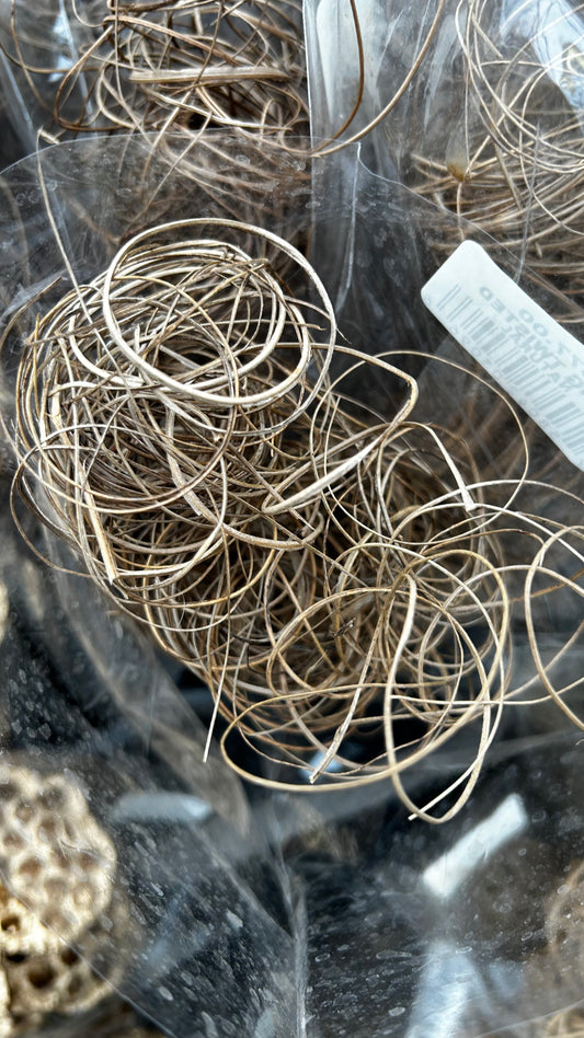 Accents, Curly Ting, Gold Metallic (XMNP649) Each