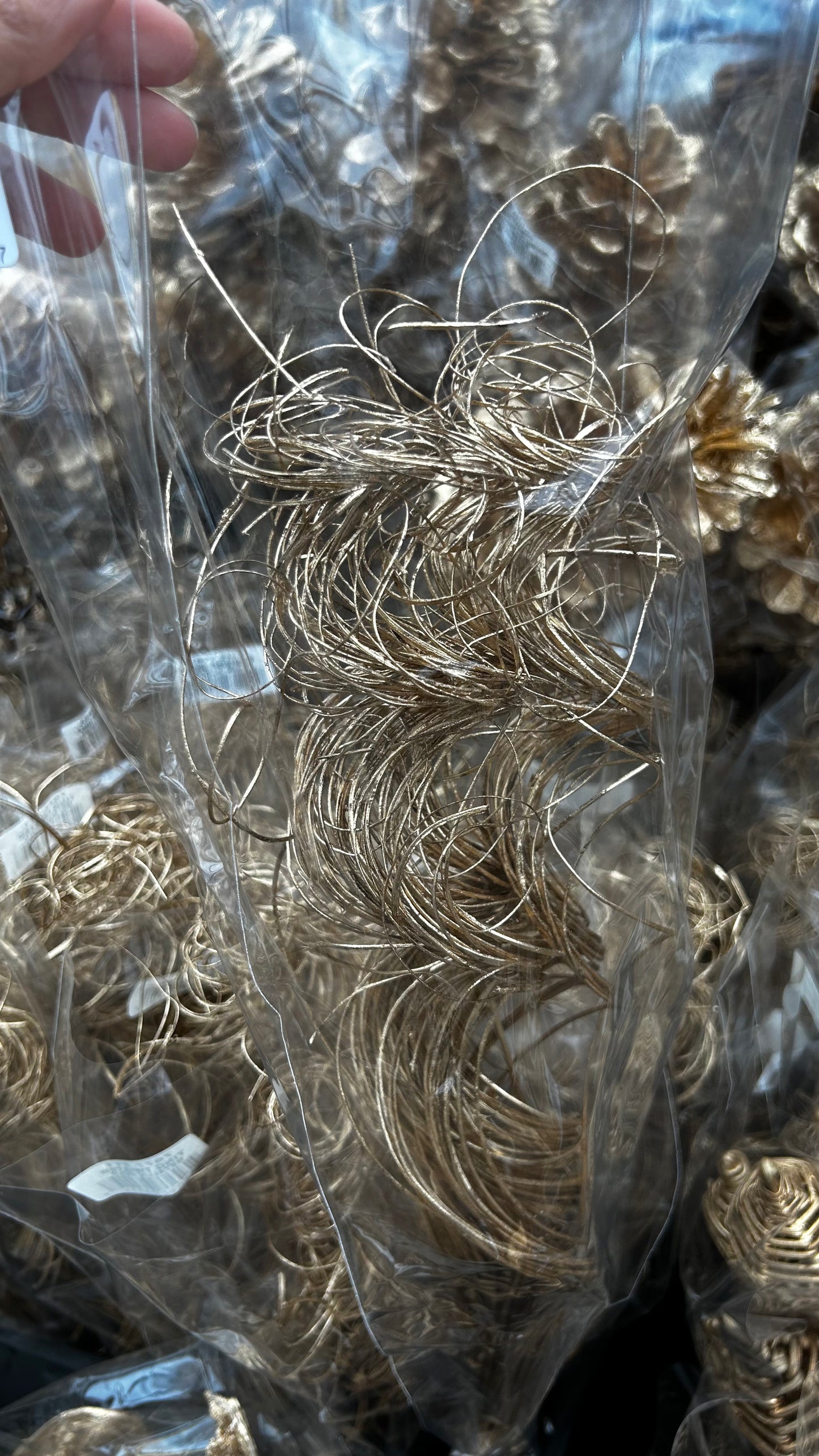 Accents, Curly Ting, Gold Metallic (XMNP649) Each