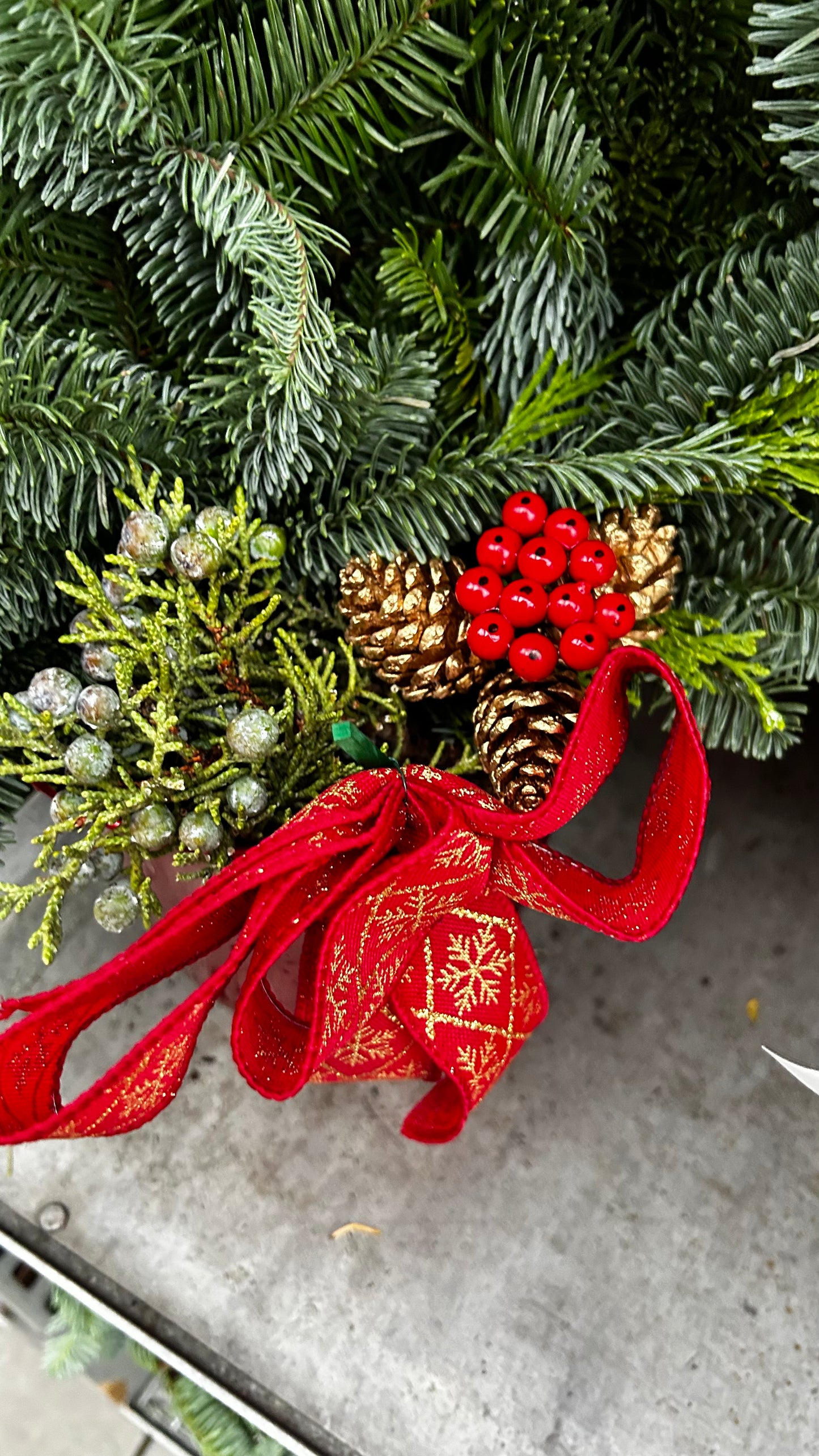 Planter, 6" Delilah, Red Planter (Each)