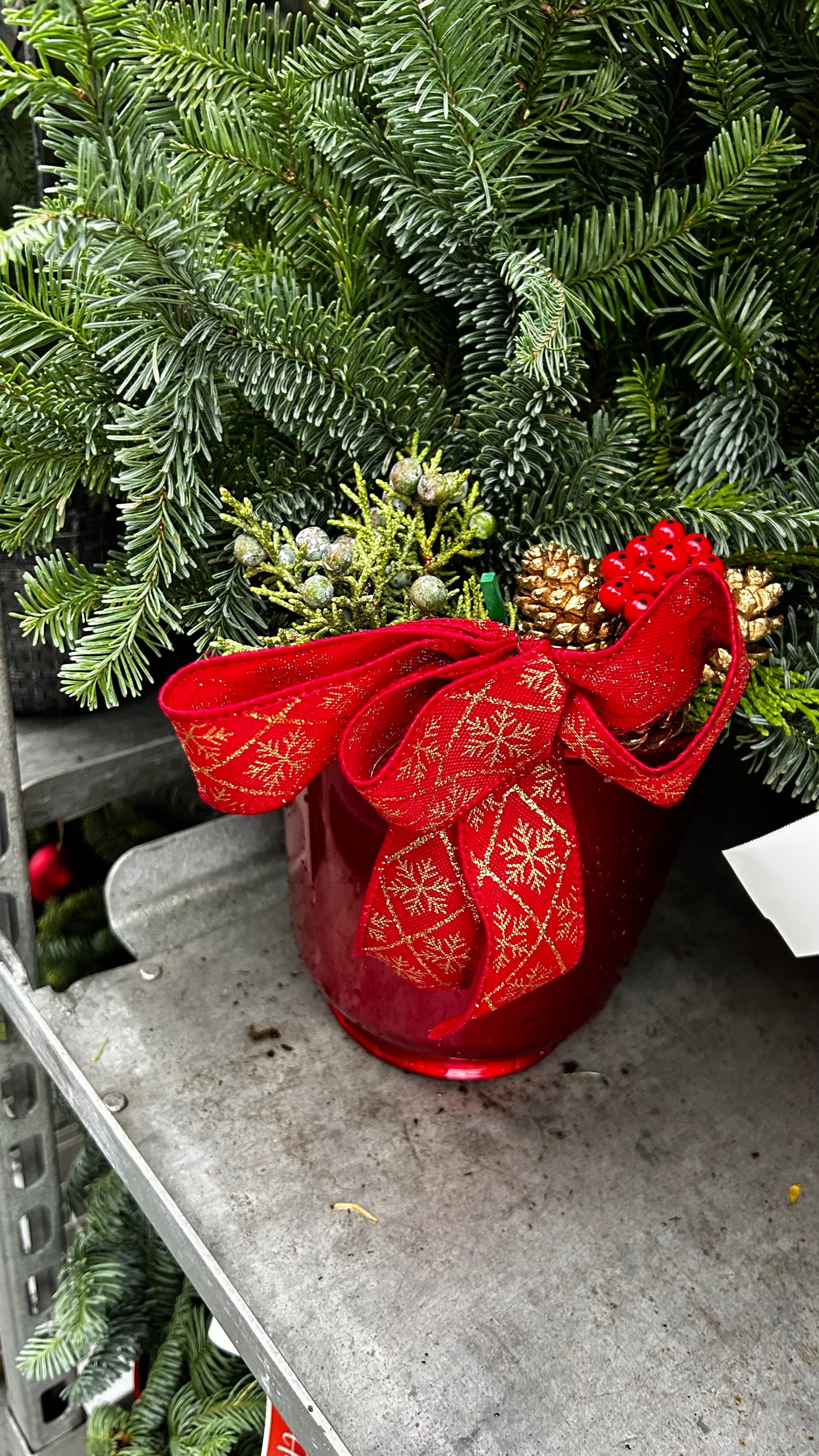 Planter, 6" Delilah, Red Planter (Each)