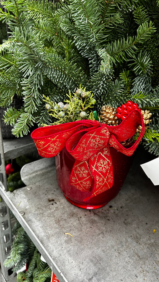 Planter, 6" Delilah, Red Planter (Each)