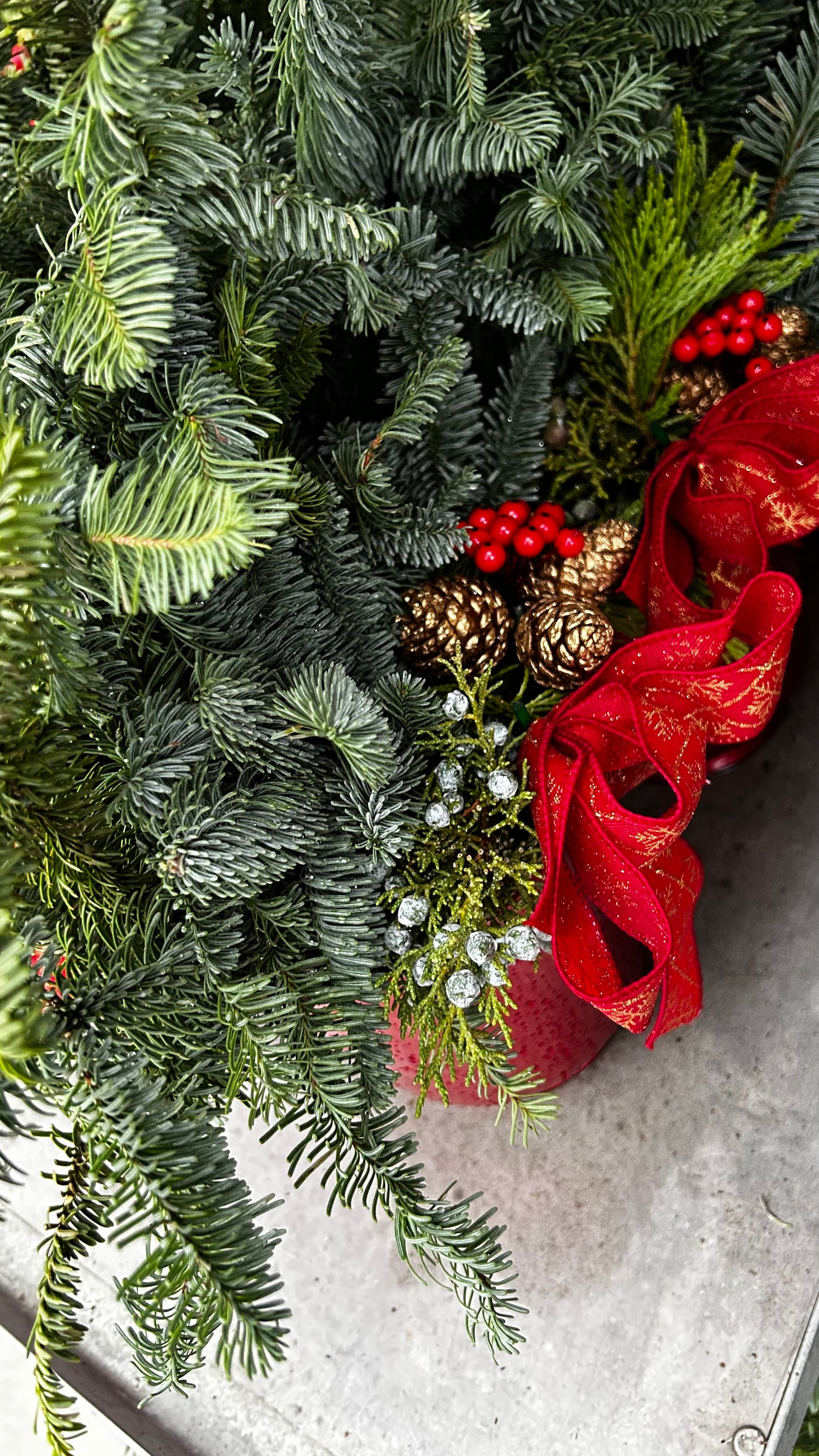 Planter, 6" Delilah, Red Planter (Each)