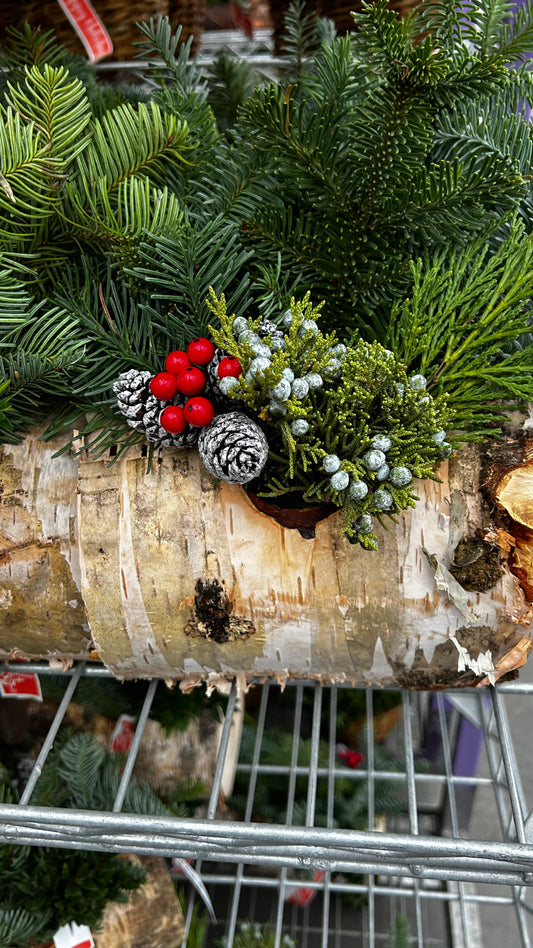Planter, 6" Birch Log Each