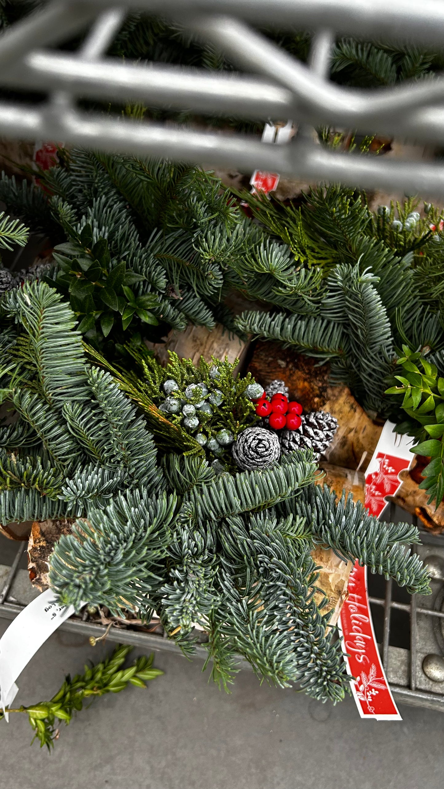 Planter, 6" Birch Log Each