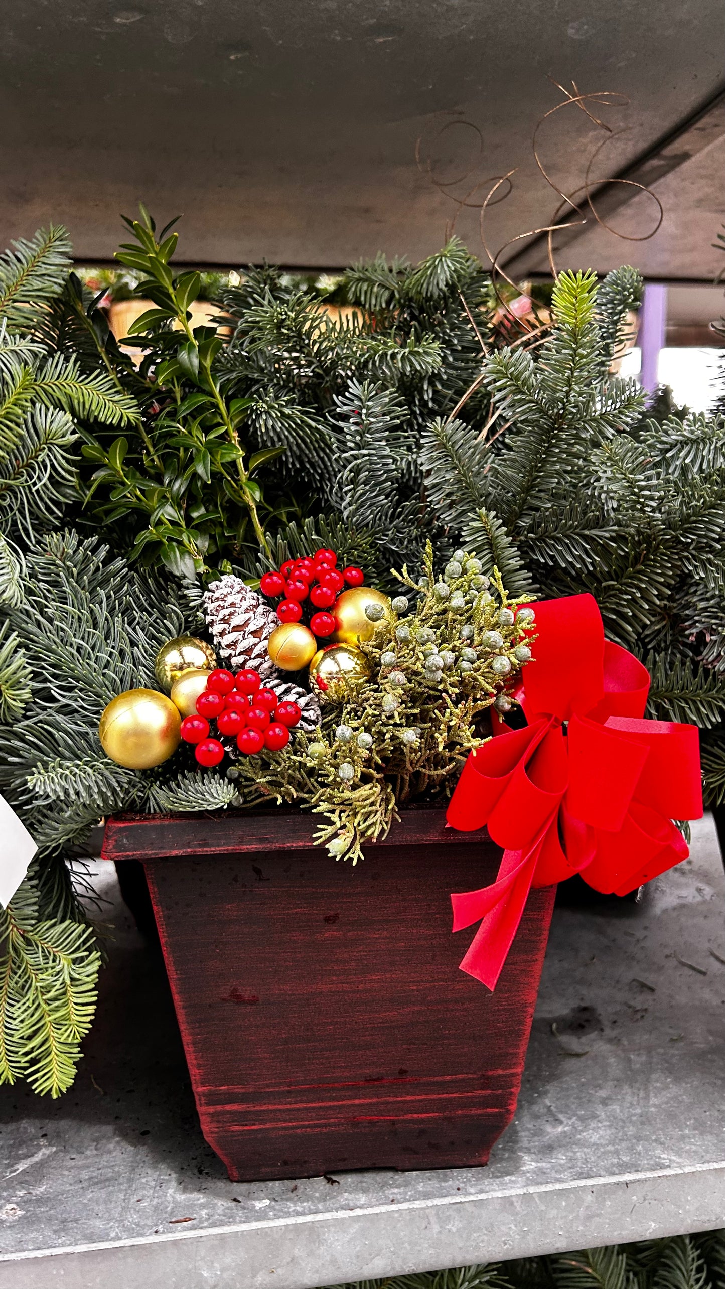 Planter, 7.5" Torino Square, Red Planter (Each)