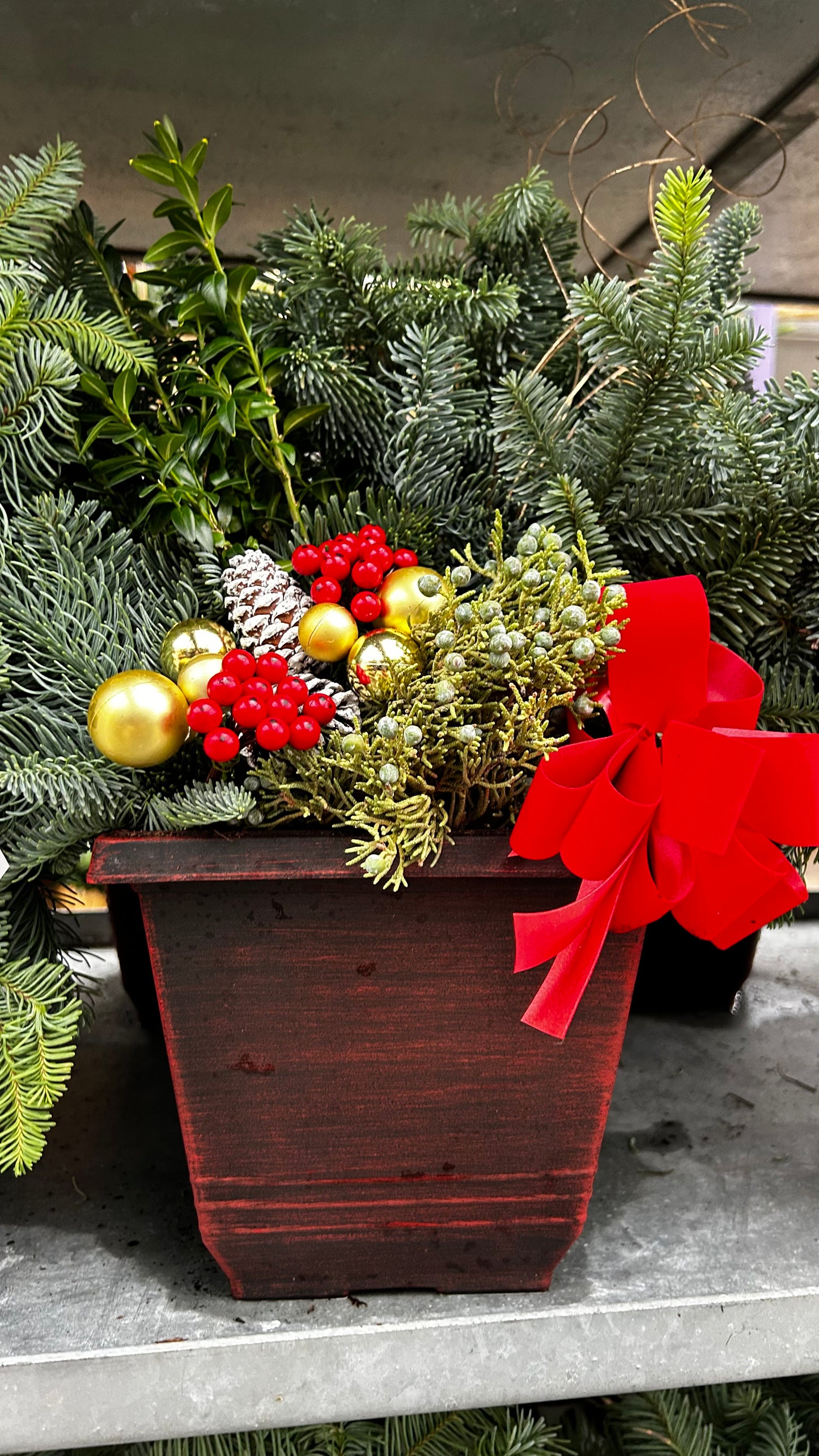 Planter, 7.5" Torino Square, Red Planter (Each)