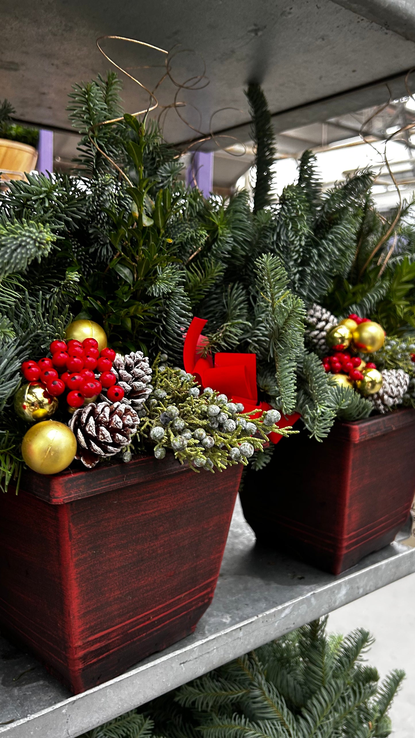 Planter, 7.5" Torino Square, Red Planter (Each)