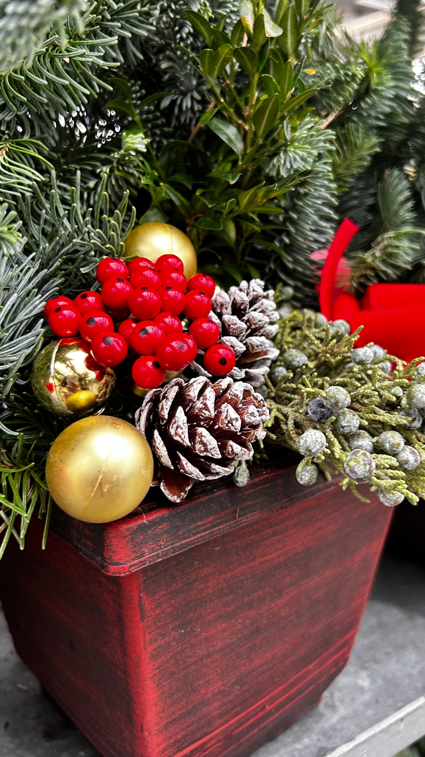 Planter, 7.5" Torino Square, Red Planter (Each)