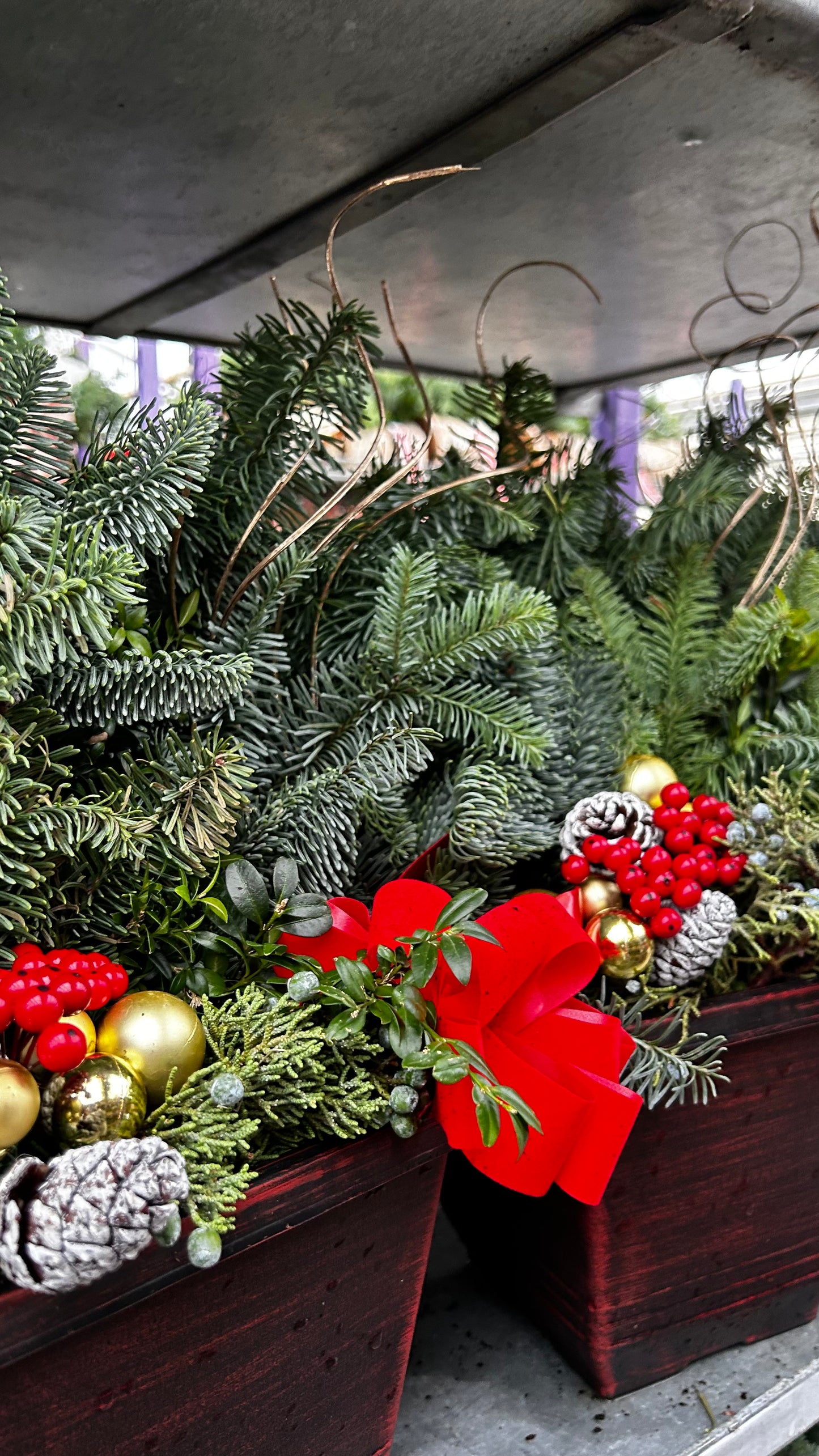 Planter, 7.5" Torino Square, Red Planter (Each)