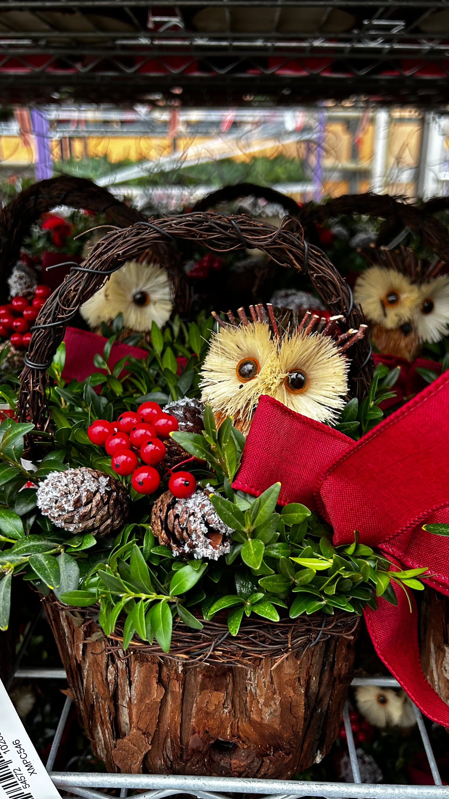 Planter, 7" Woodland Owl, Dark Fir Basket with Handle Basket (Each)