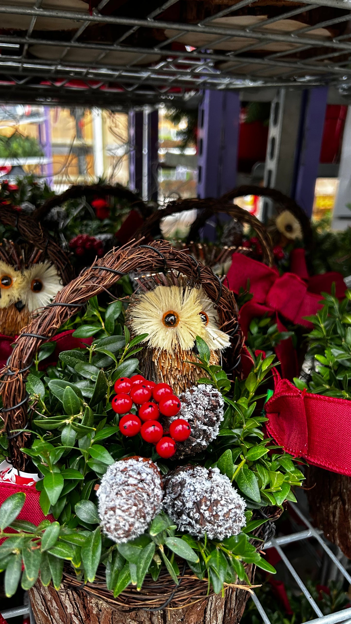 Planter, 7" Woodland Owl, Dark Fir Basket with Handle Basket (Each)
