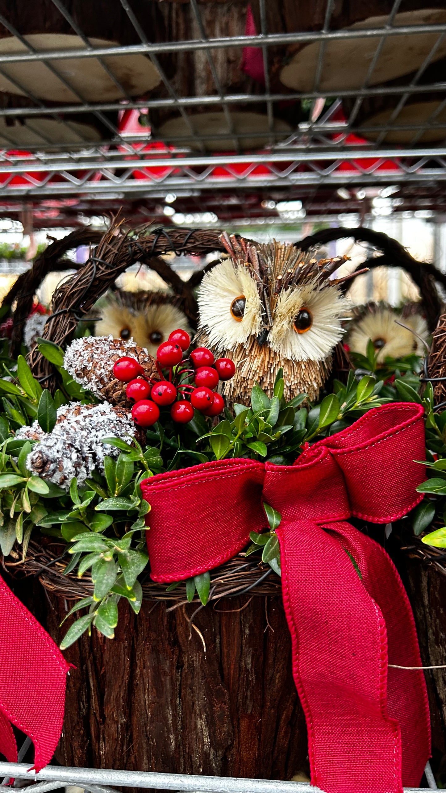 Planter, 7" Woodland Owl, Dark Fir Basket with Handle Basket (Each)