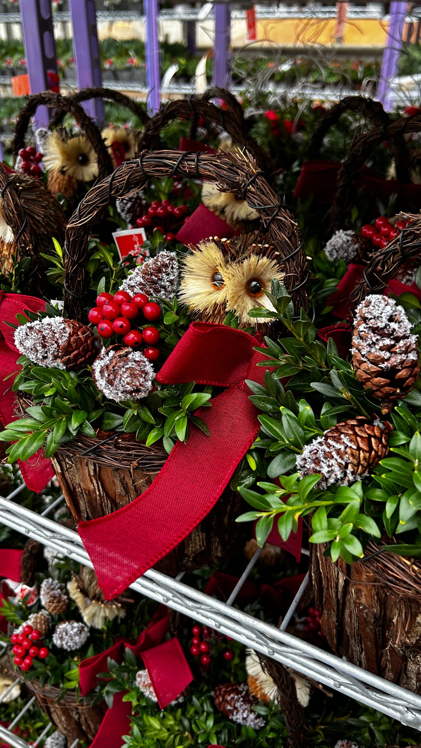 Planter, 7" Woodland Owl, Dark Fir Basket with Handle Basket (Each)