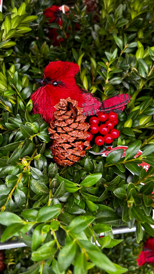 Planter, 5" Birds Nest Basket Basket (Each)