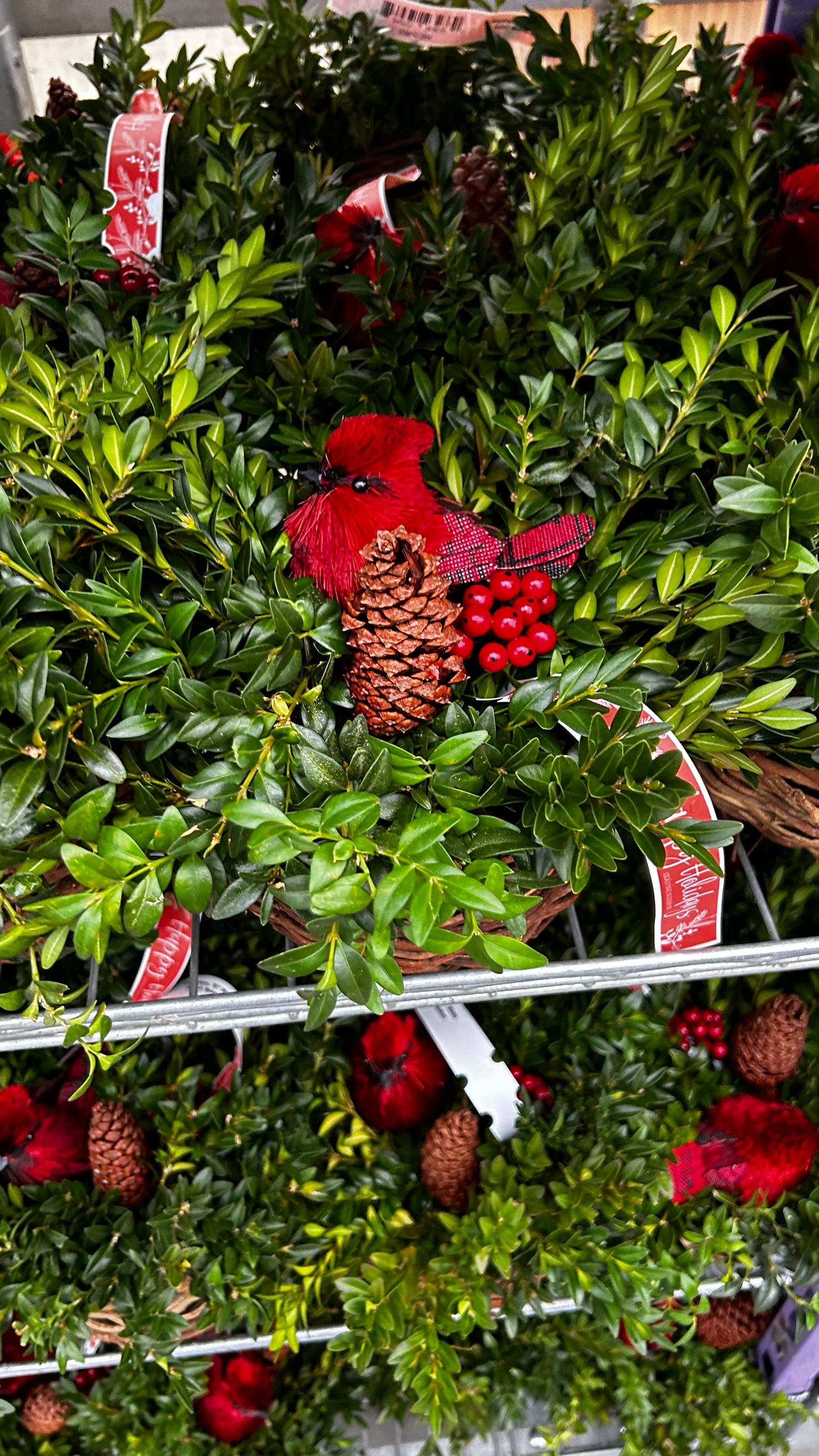 Planter, 5" Birds Nest Basket Basket (Each)