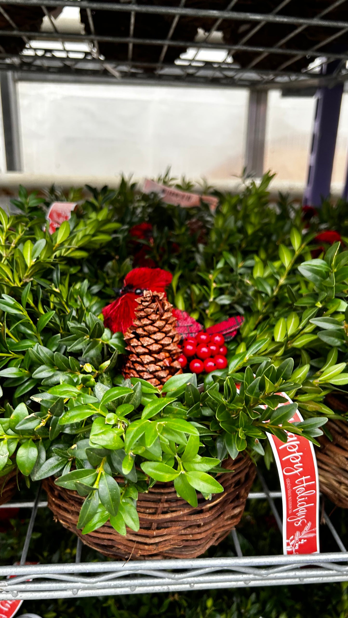 Planter, 5" Birds Nest Basket Basket (Each)