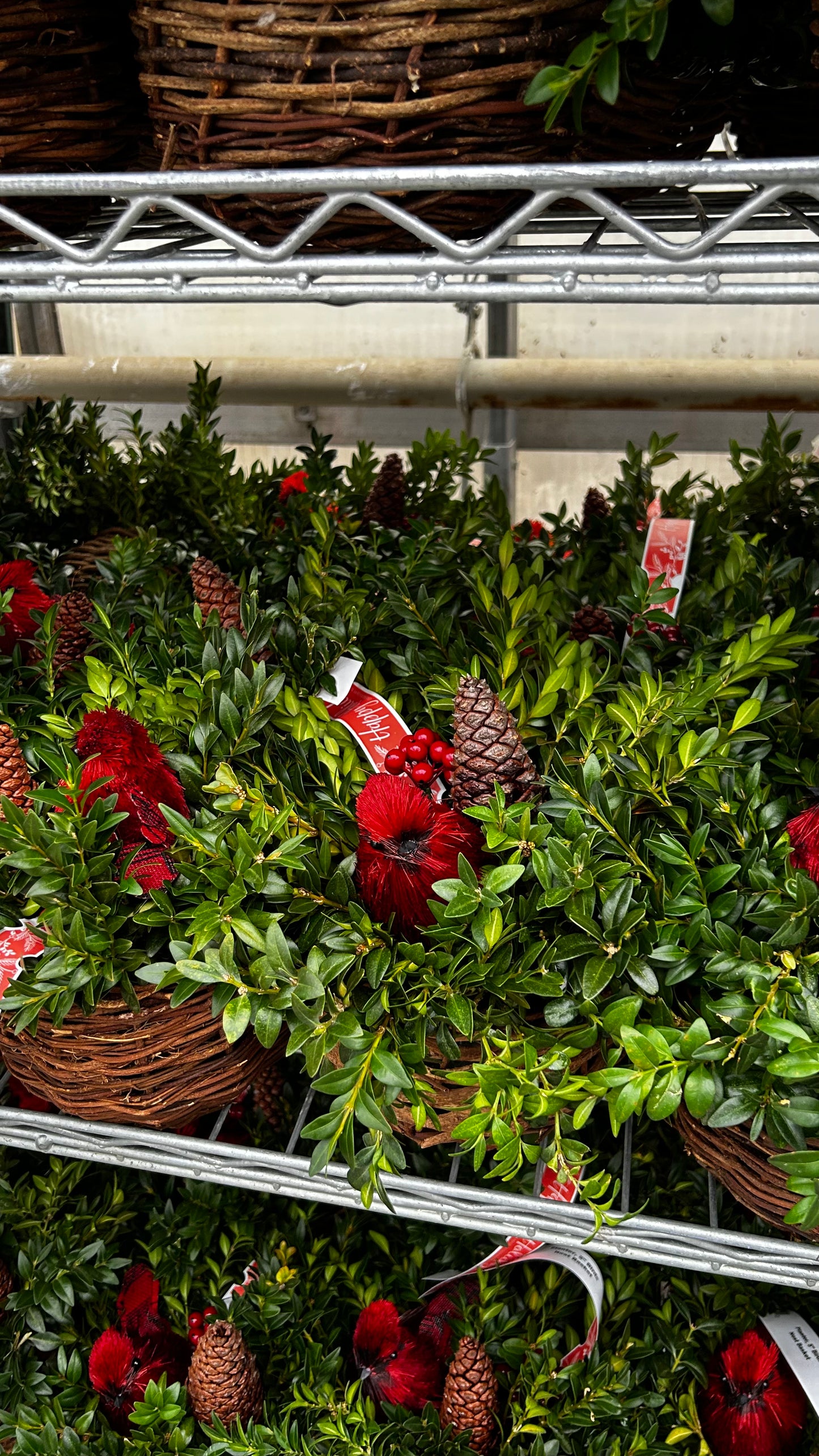 Planter, 5" Birds Nest Basket Basket (Each)