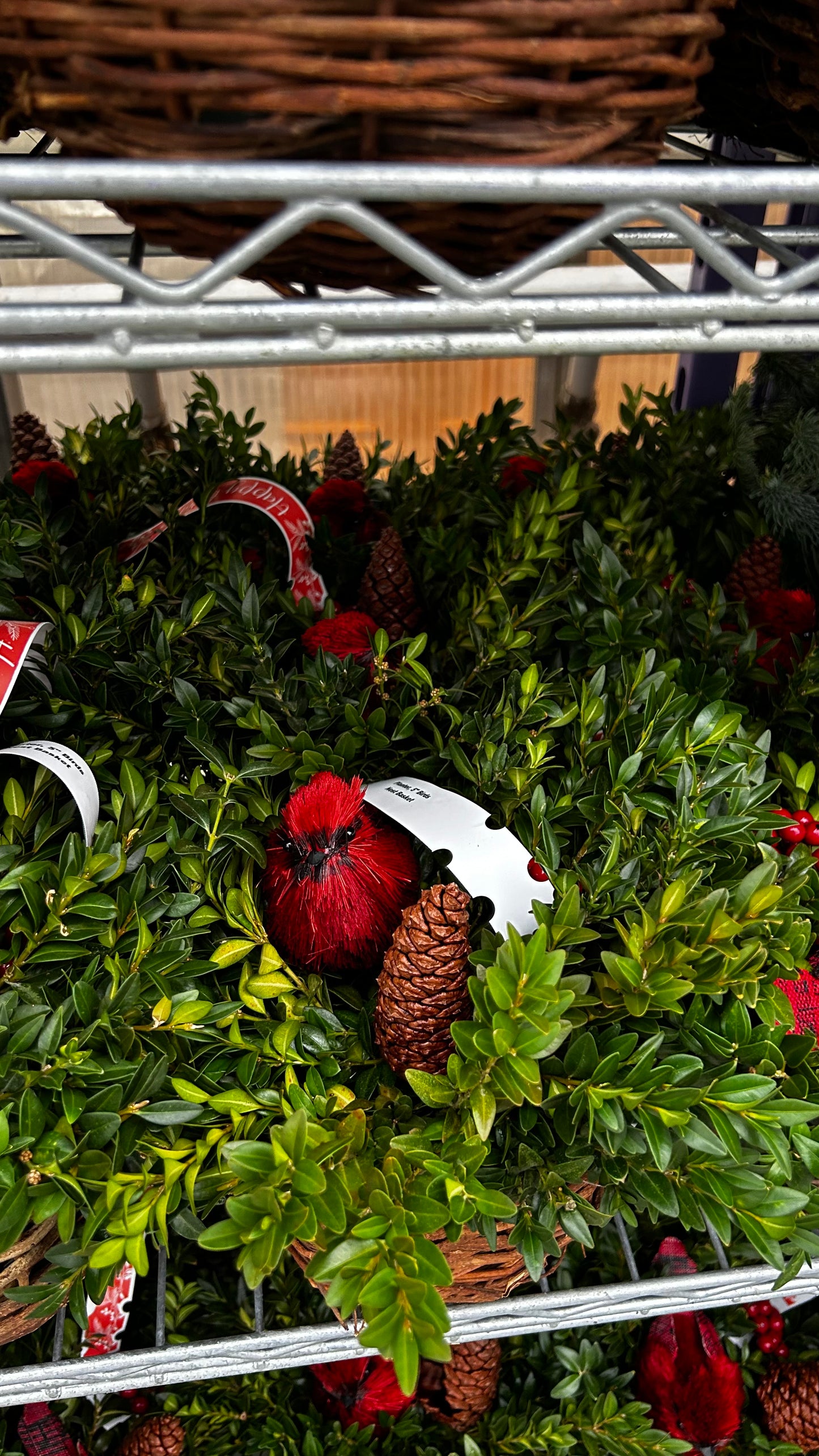 Planter, 5" Birds Nest Basket Basket (Each)