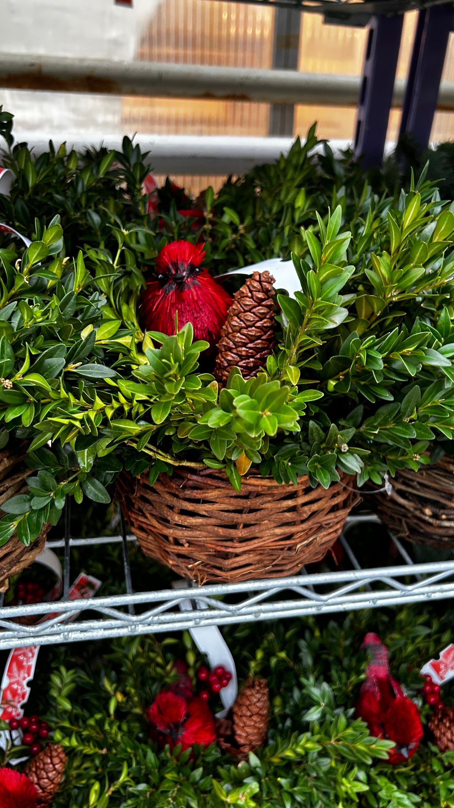 Planter, 5" Birds Nest Basket Basket (Each)