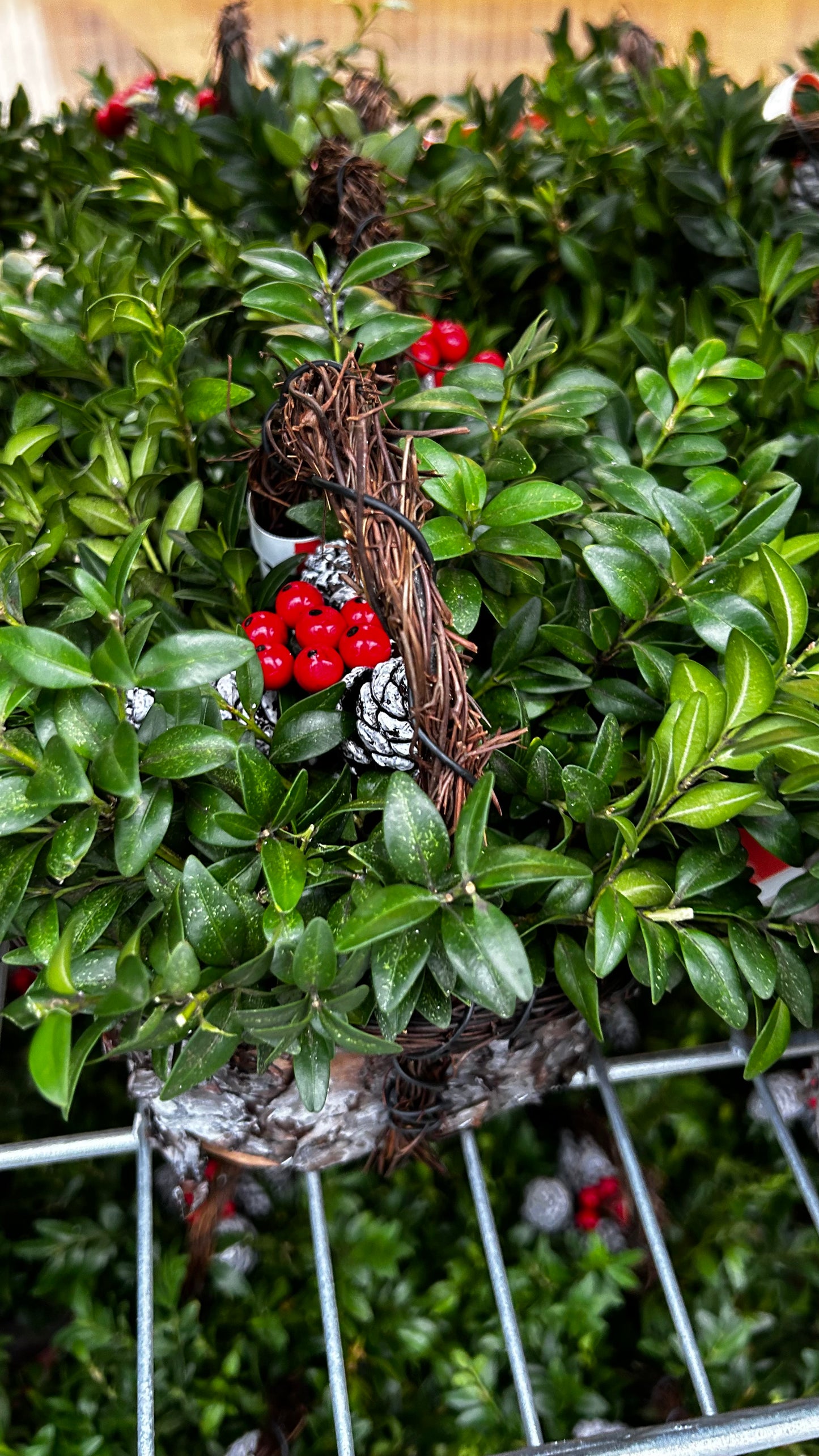 Planter, 4" Birch Basket Basket (Each)