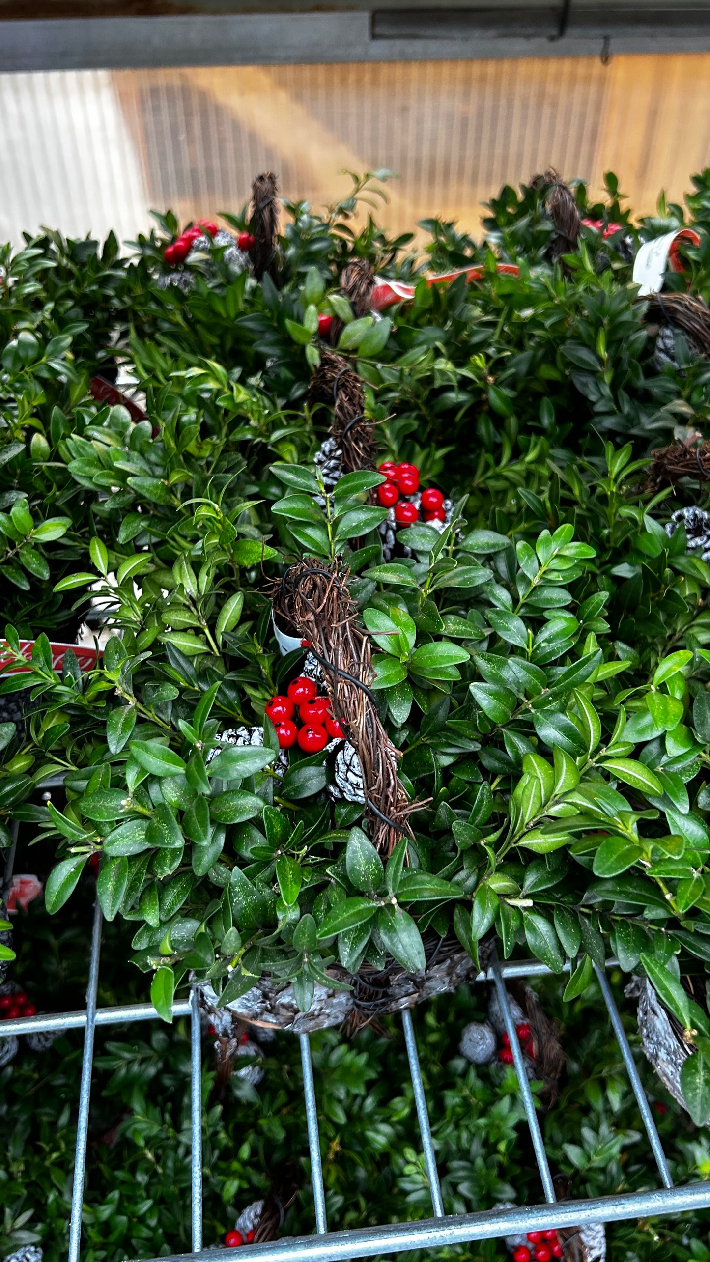 Planter, 4" Birch Basket Basket (Each)