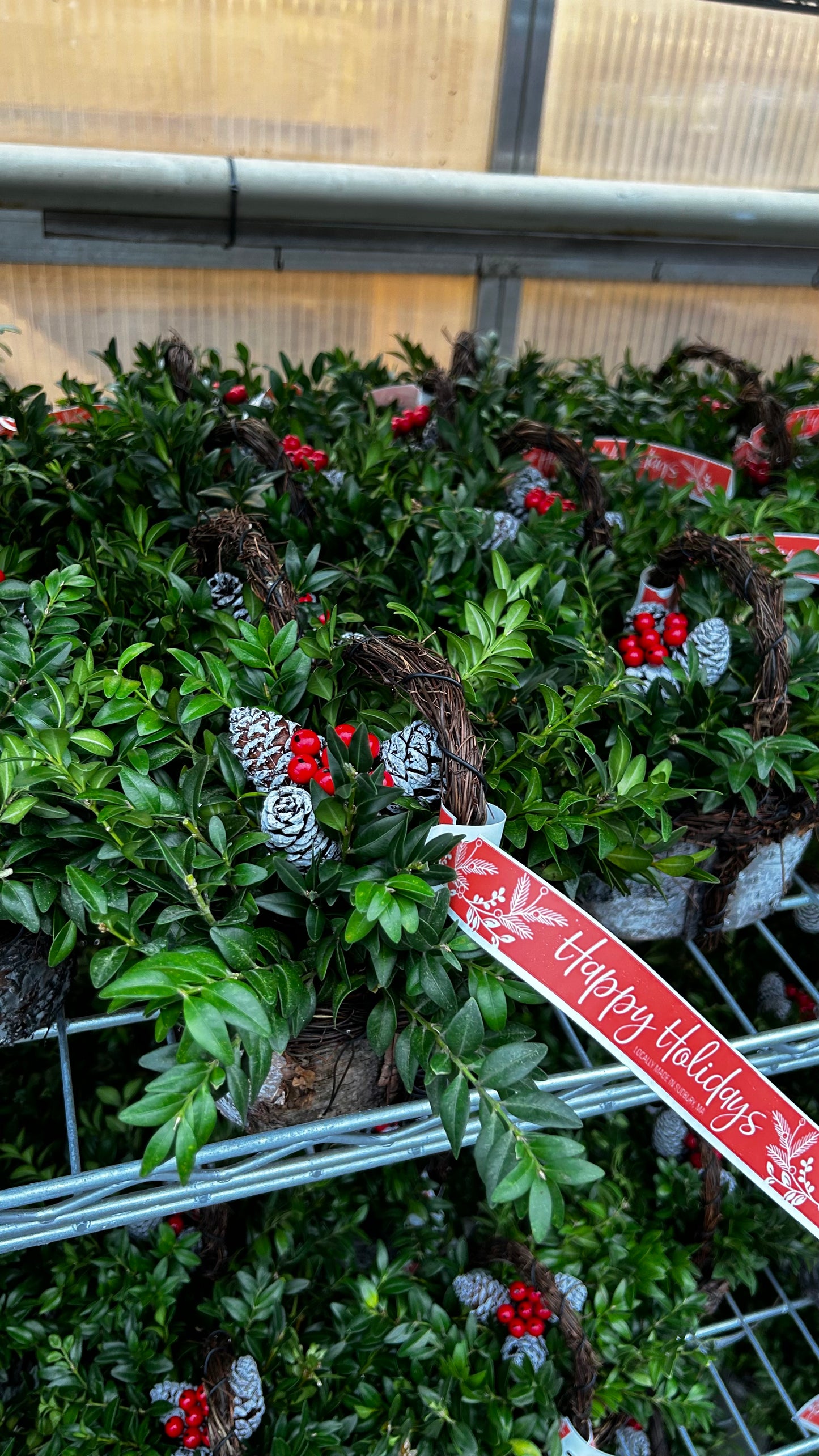Planter, 4" Birch Basket Basket (Each)