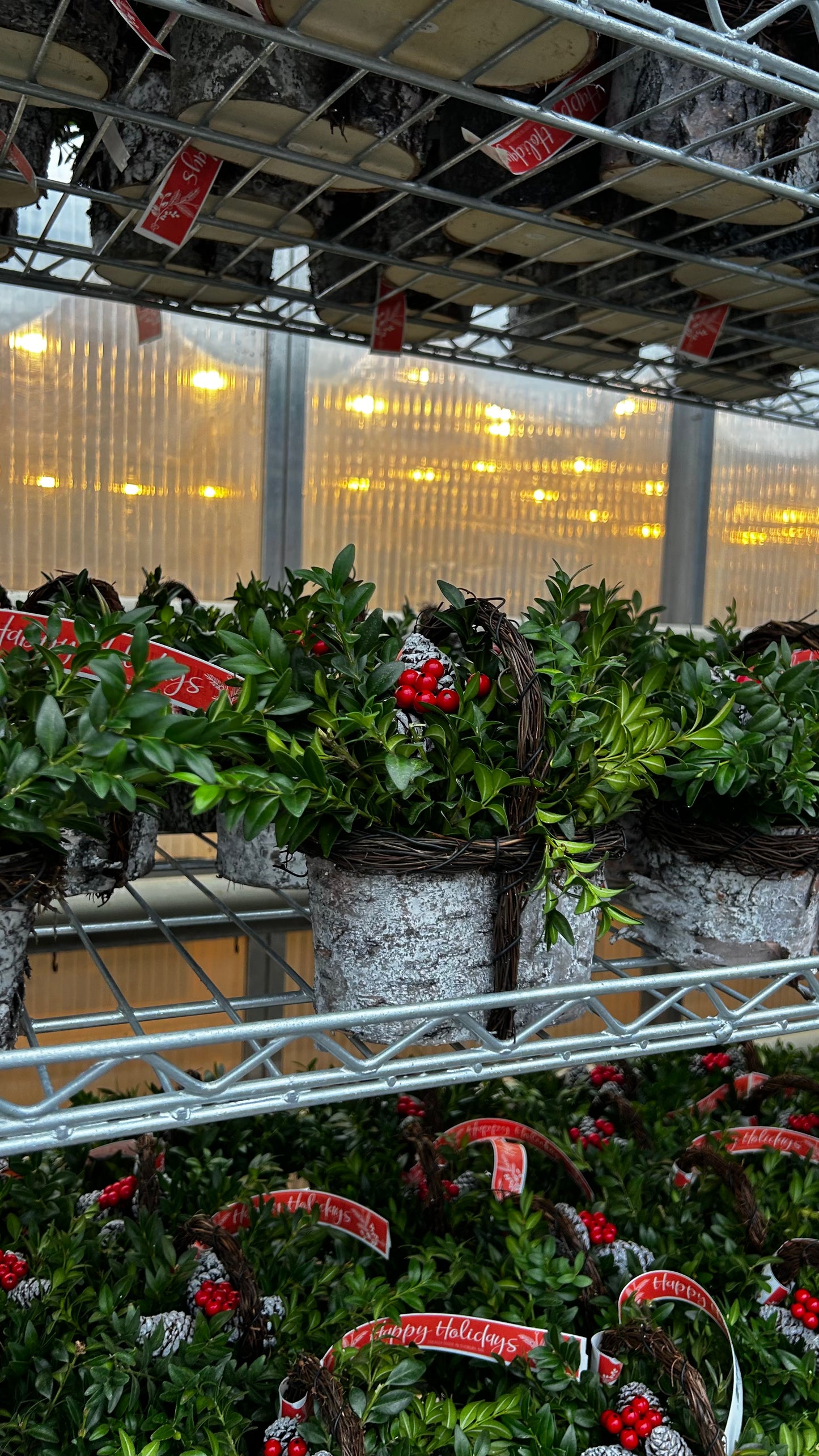 Planter, 4" Birch Basket Basket (Each)