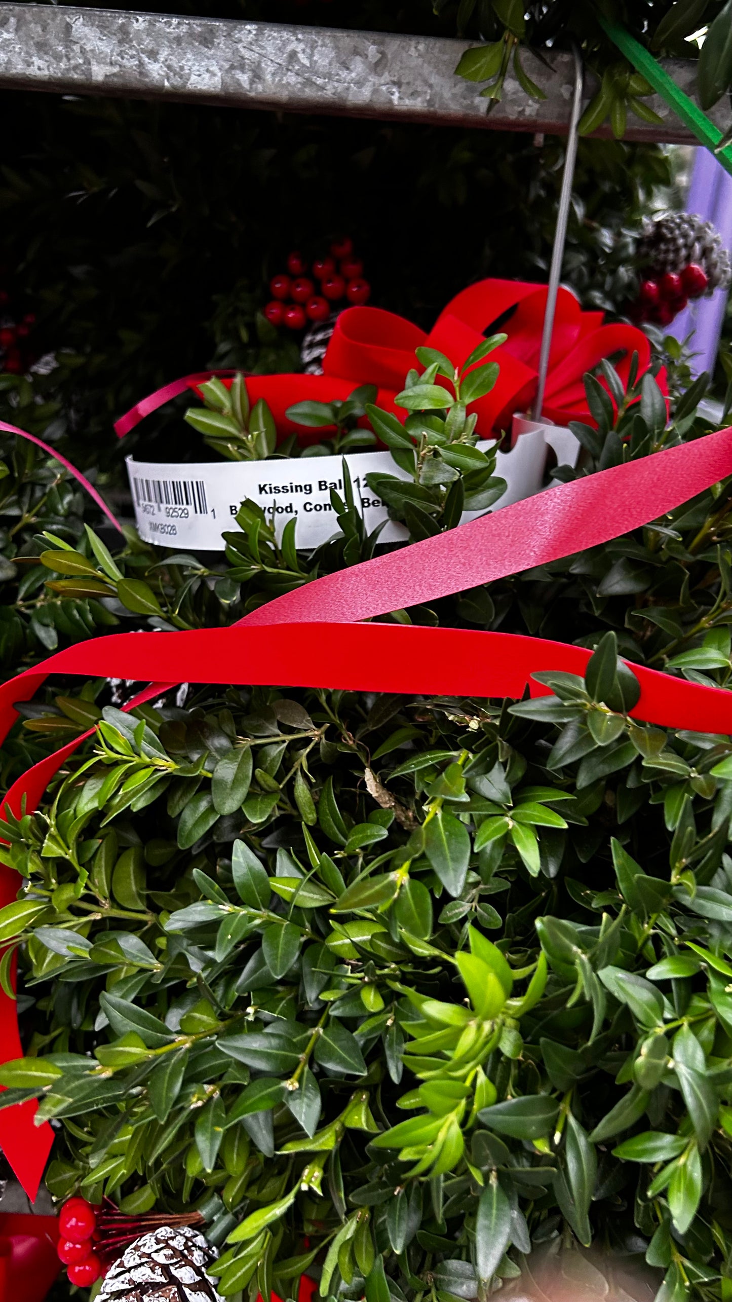 Kissing Ball, 12" Boxwood, Cones, Berries, Decorated Each