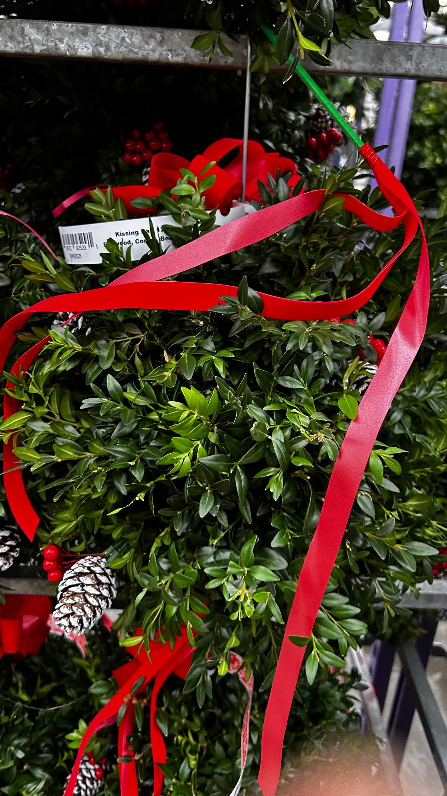 Kissing Ball, 12" Boxwood, Cones, Berries, Decorated Each