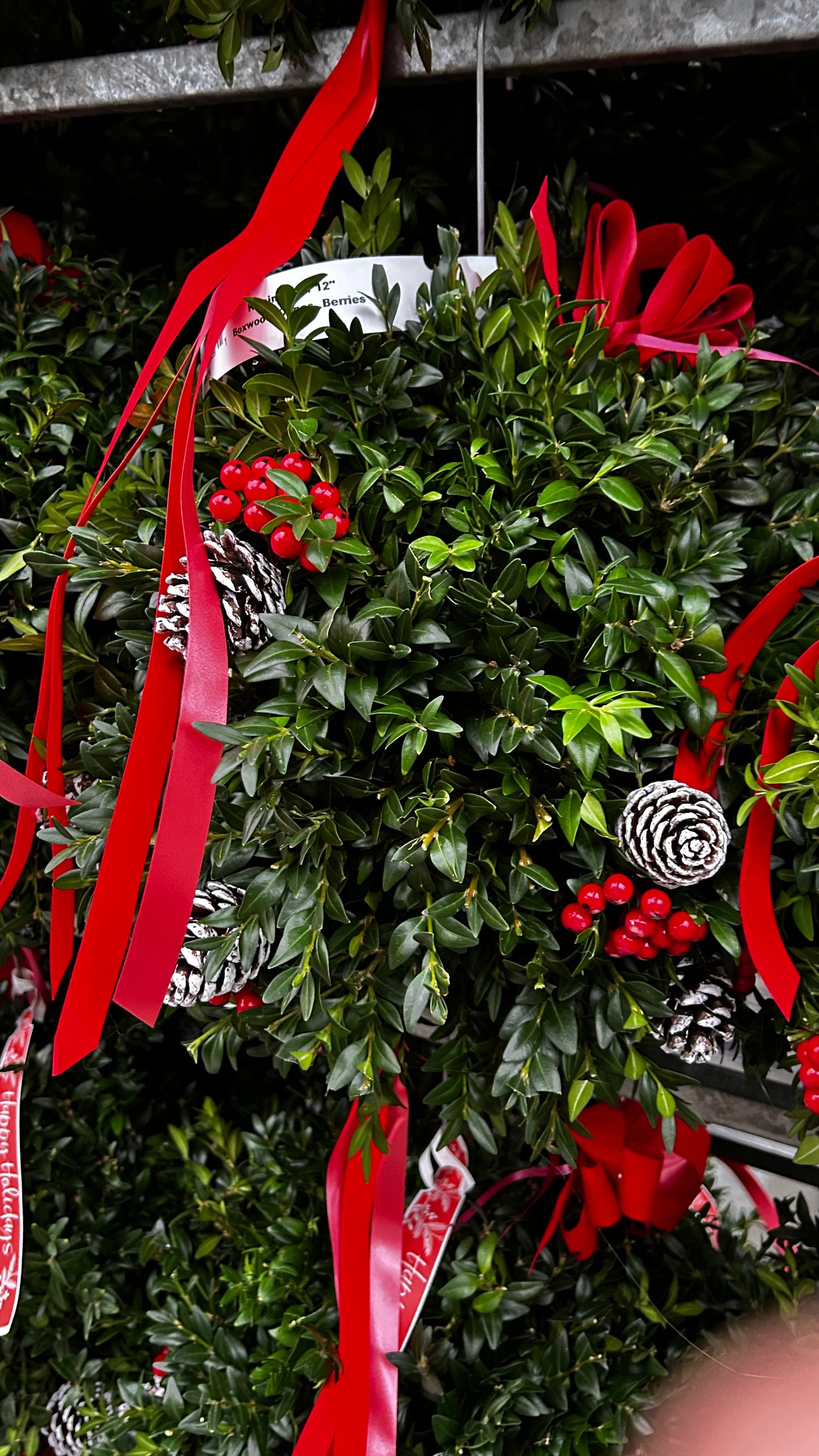 Kissing Ball, 12" Boxwood, Cones, Berries, Decorated Each