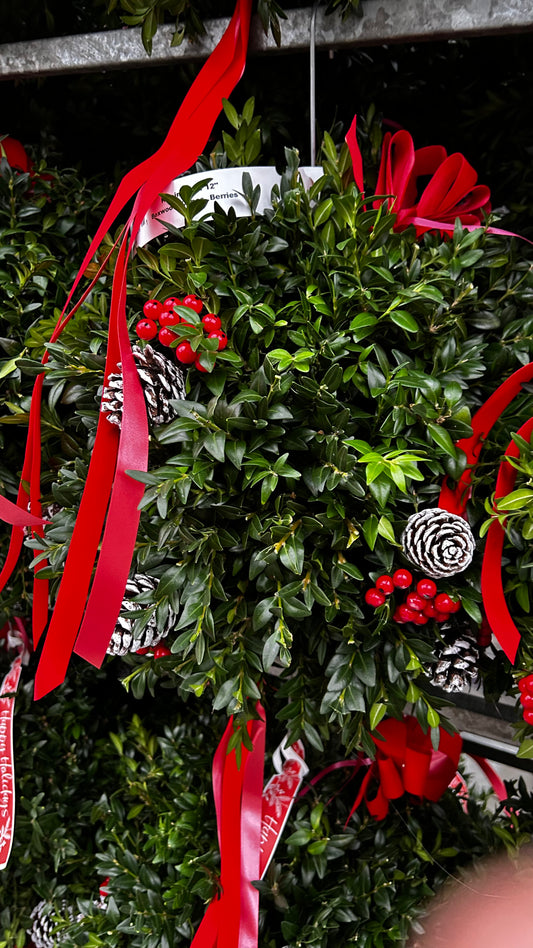 Kissing Ball, 12" Boxwood, Cones, Berries, Decorated Each
