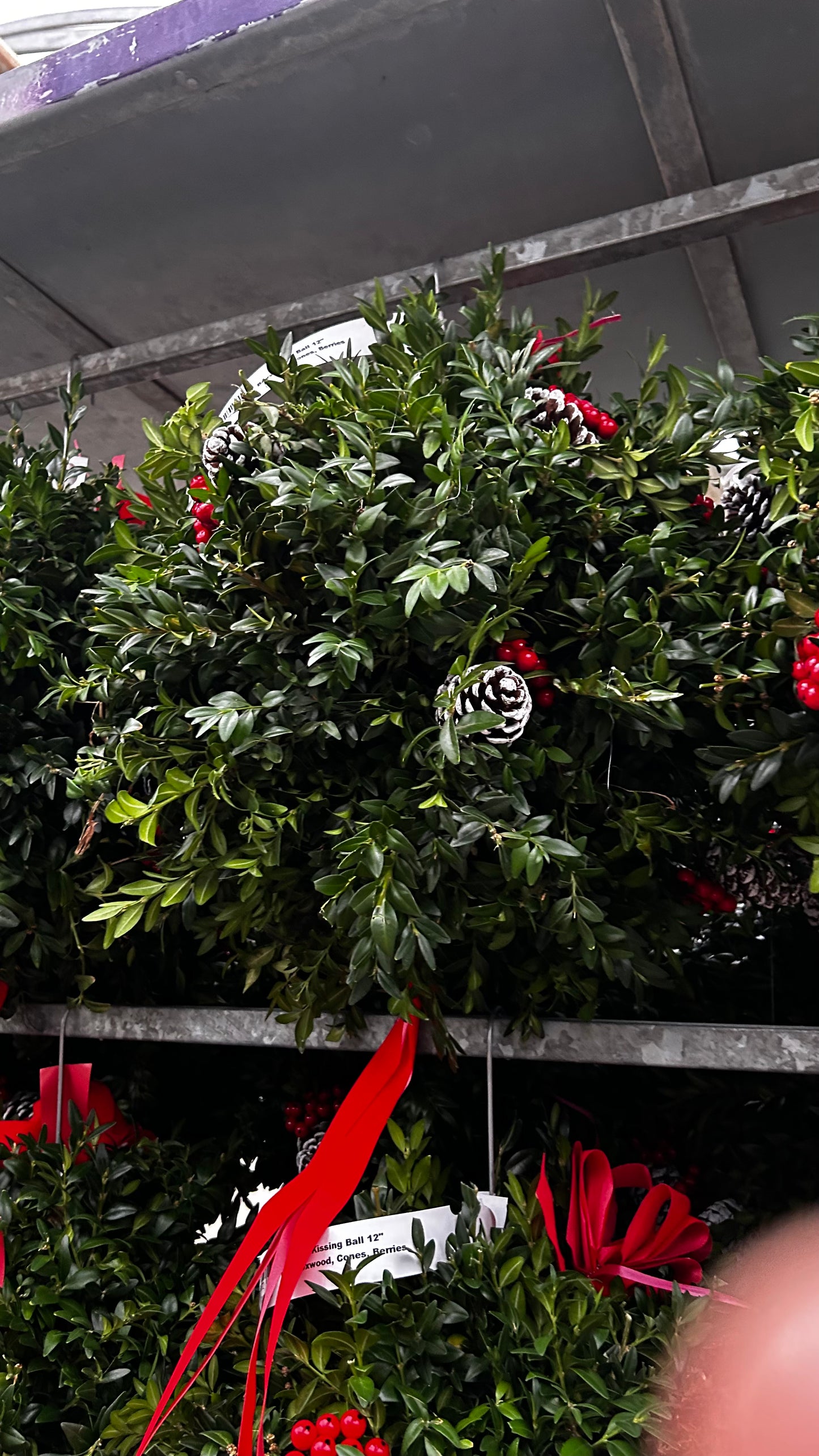 Kissing Ball, 12" Boxwood, Cones, Berries, Decorated Each